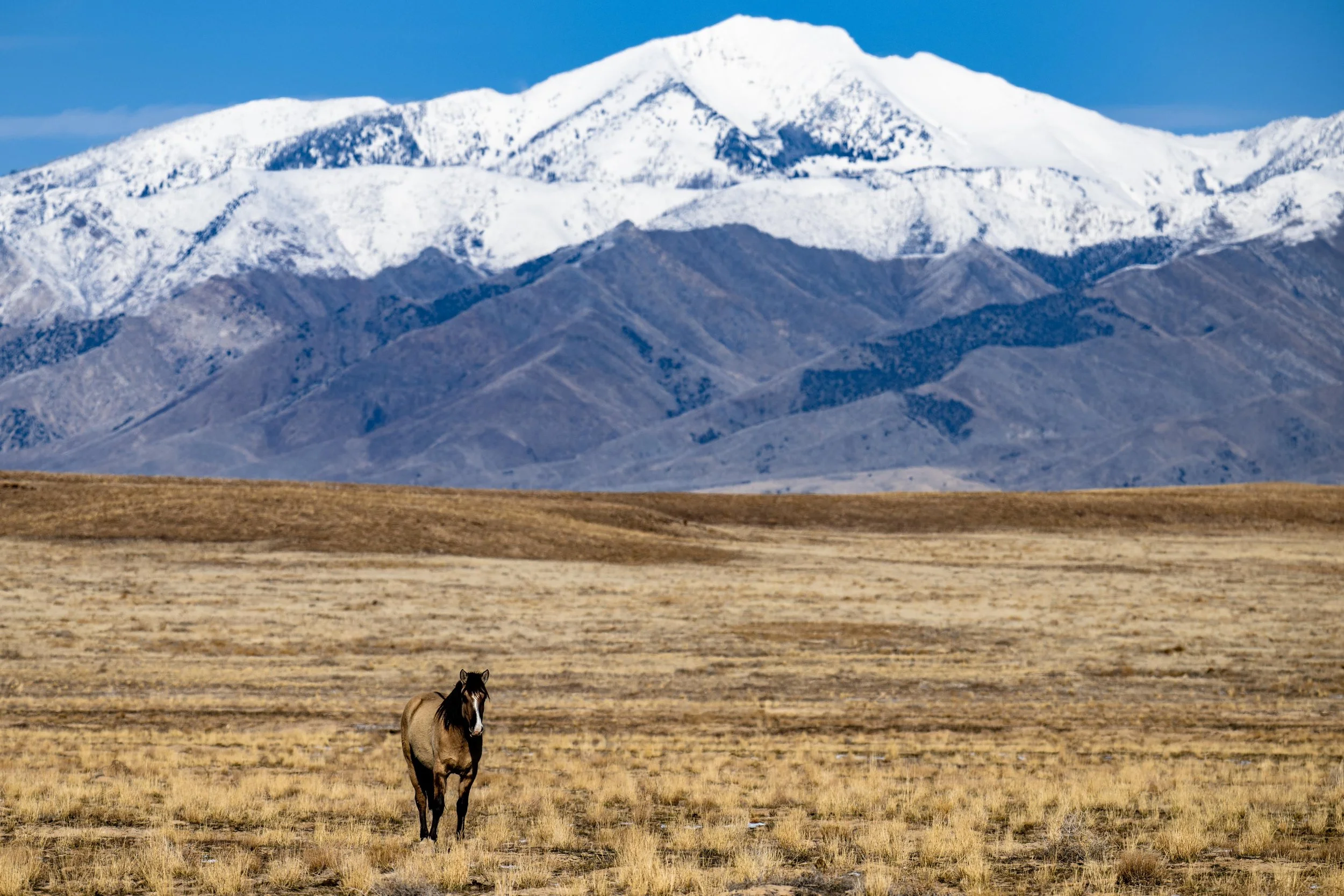 20260110-_DSC1438 Instagram-2.jpg