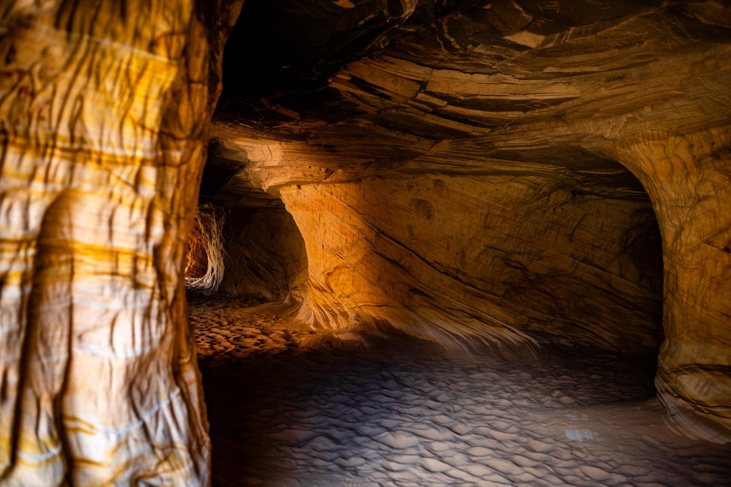 20260411-_DSC5581 Instagram.jpg