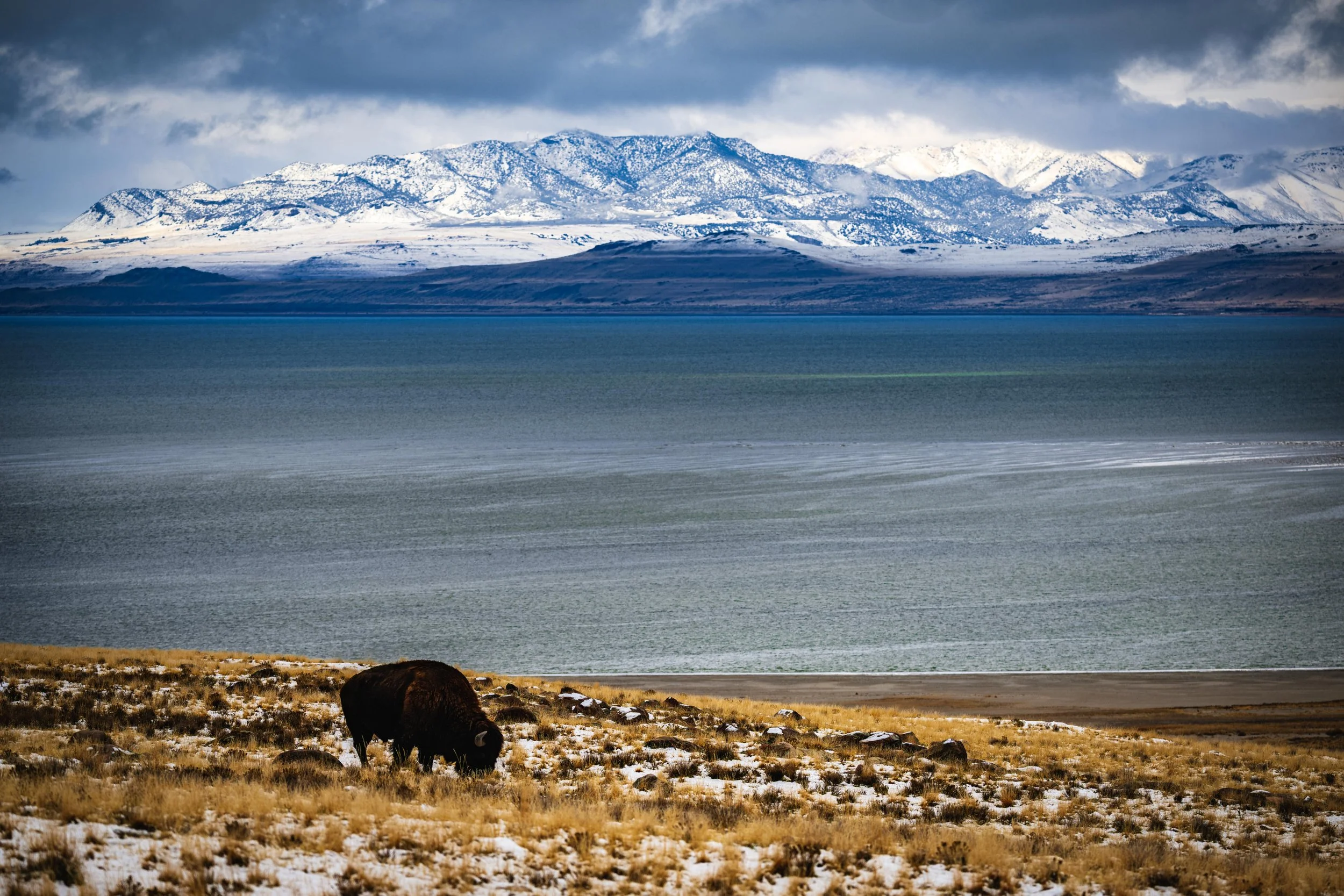 20251130-_DSC0703 Instagram-2.jpg