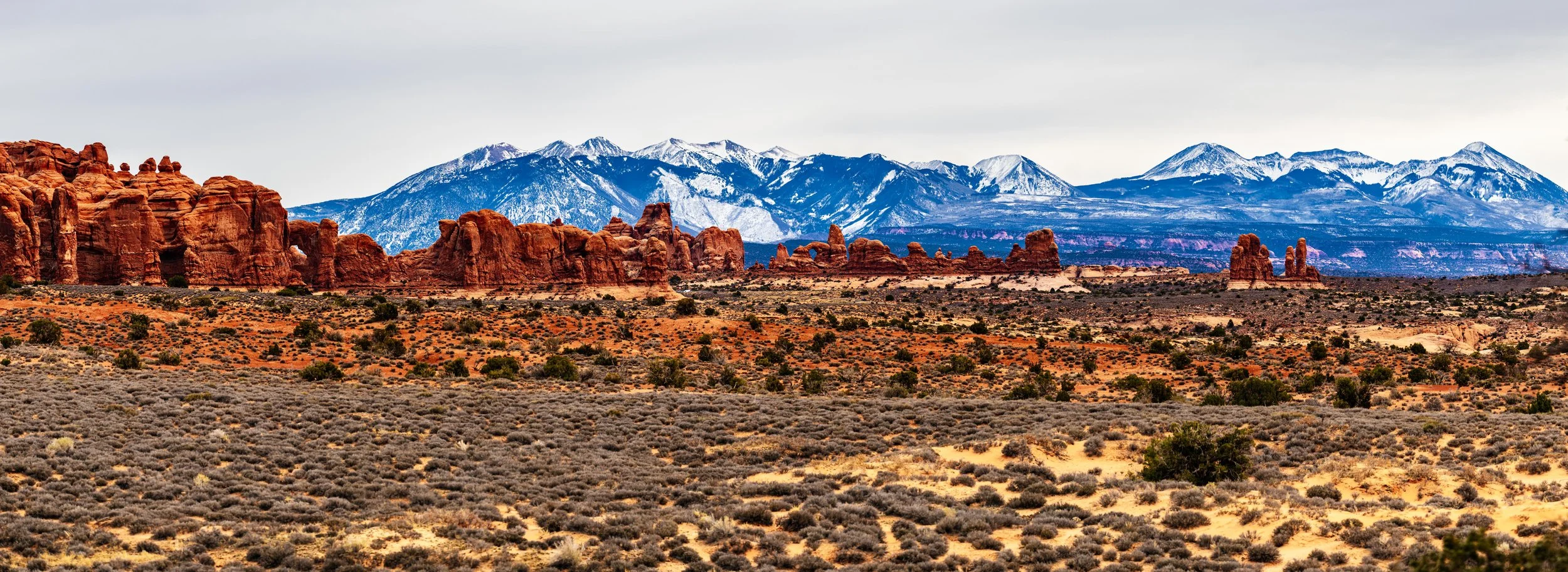 20241125-_DSC7214-Pano Instagram-3.jpg