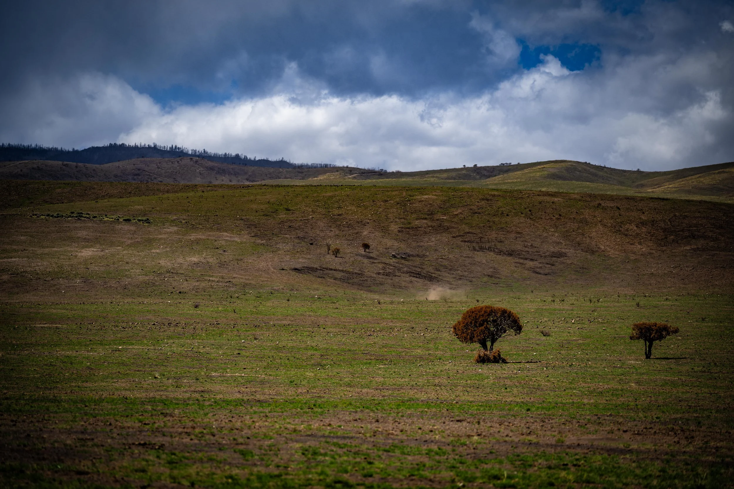 20260412-_DSC5666 Instagram.jpg