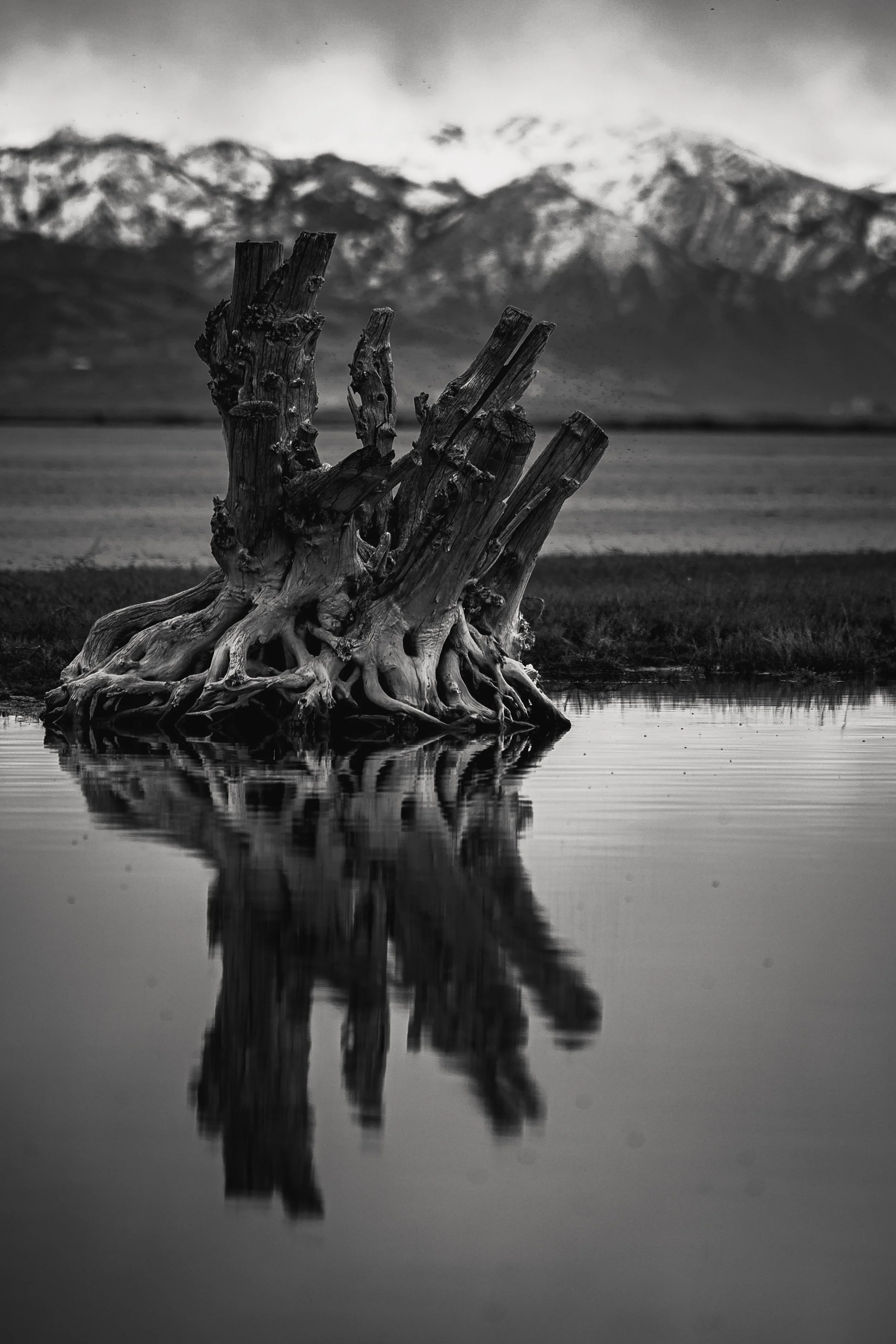 20260314-_DSC4219 Instagram-4.jpg