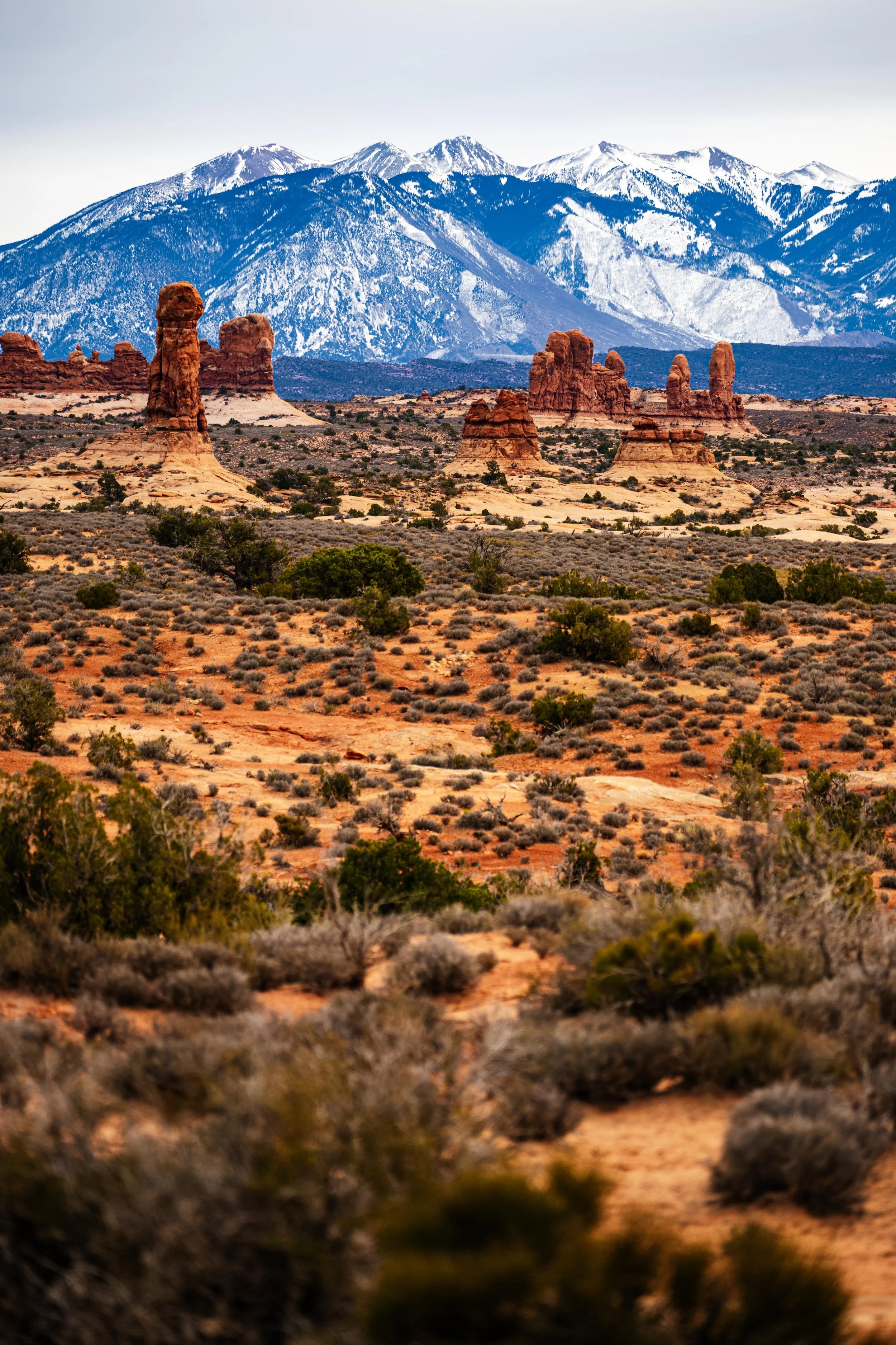 20241125-_DSC7241 Instagram-2.jpg