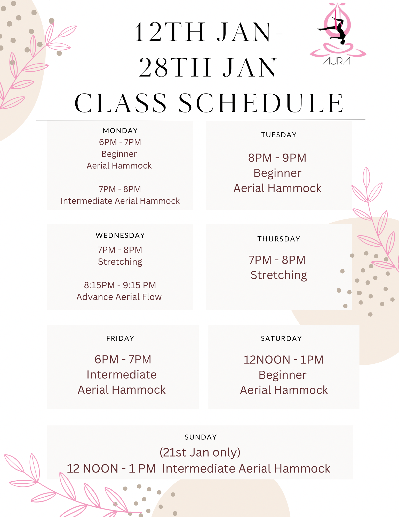 January Aerial Hammock Schedule