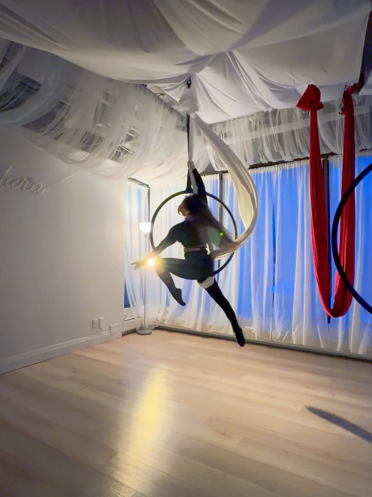 Hoop + Hammock Dance Workshop ✨