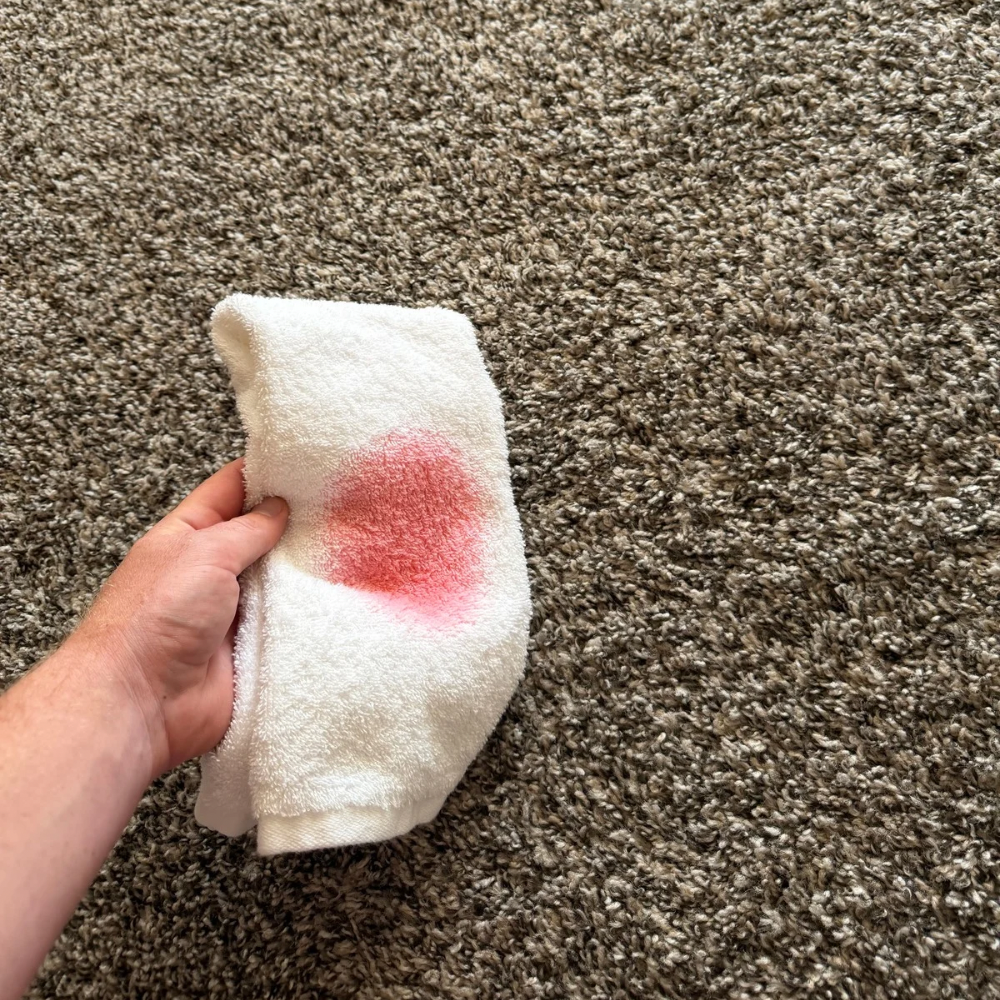Professional carpet spot treatment in Albuquerque and Rio Rancho by Caring Carpet Care