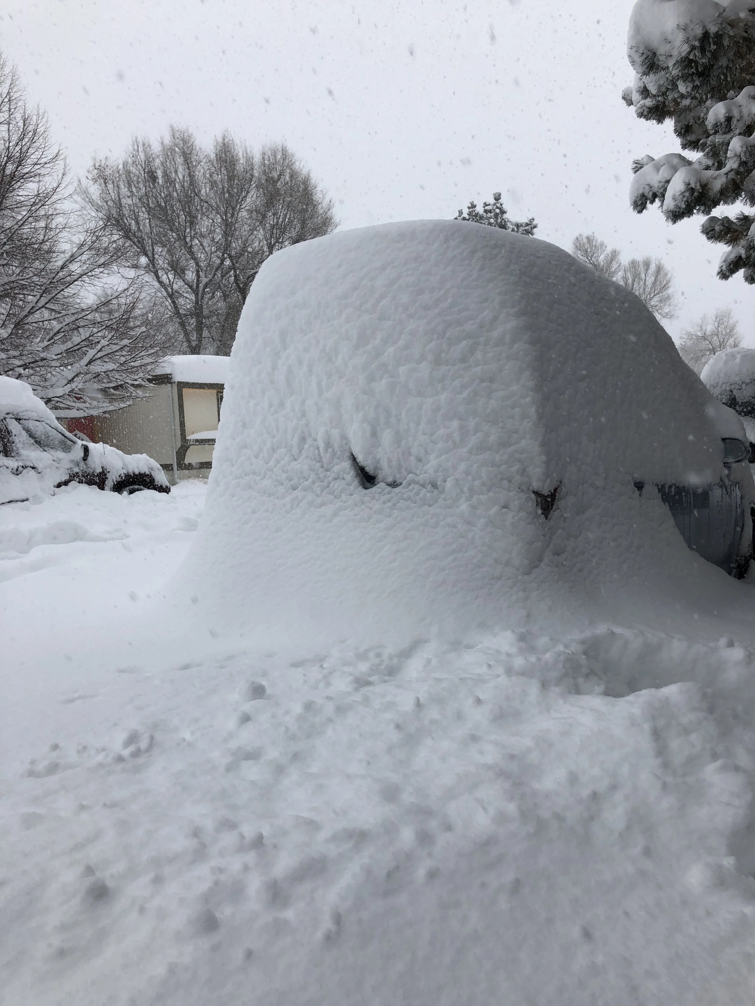 Community Snow Storm 001.JPG