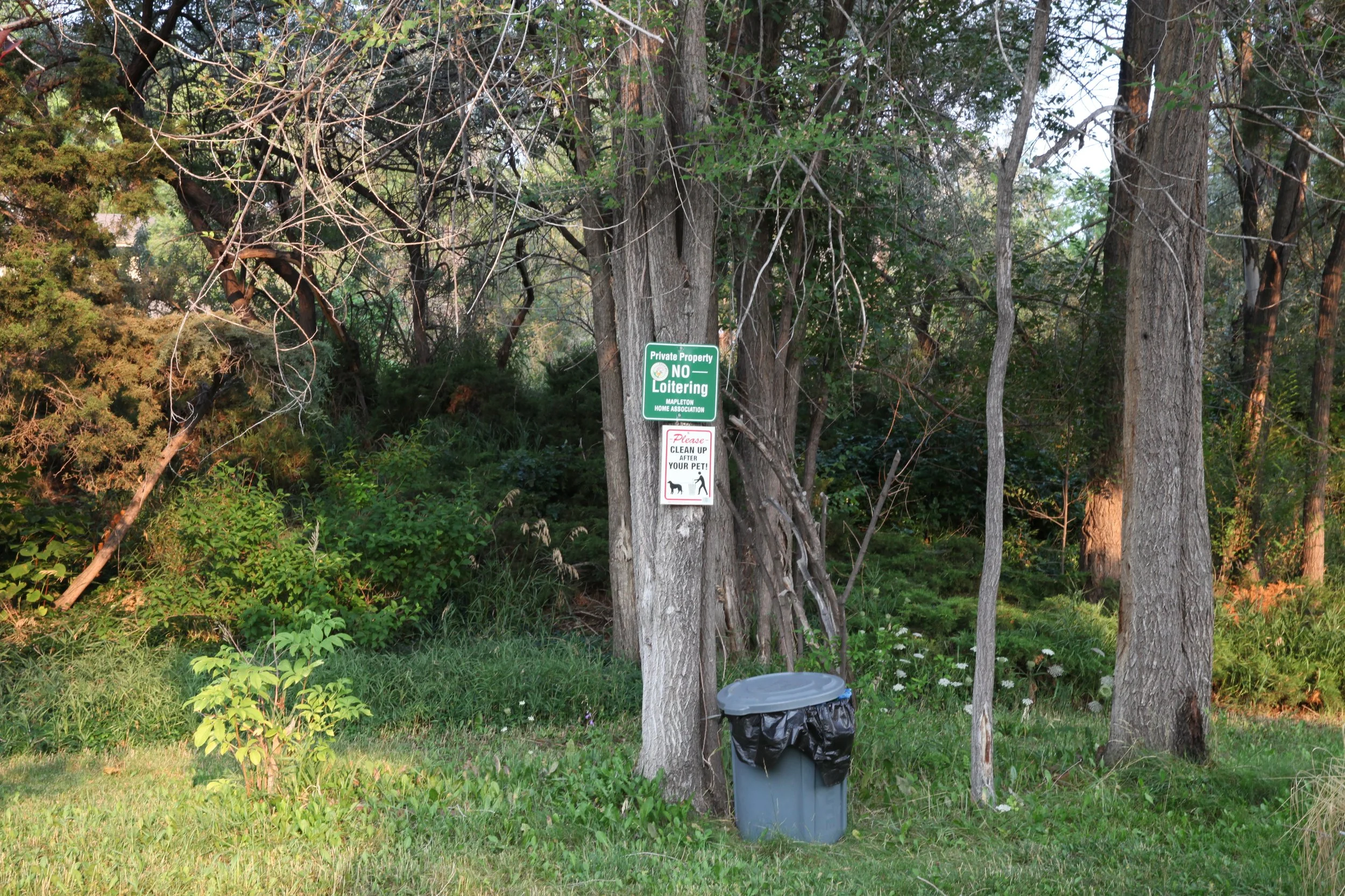 Community Common Area 001.JPG