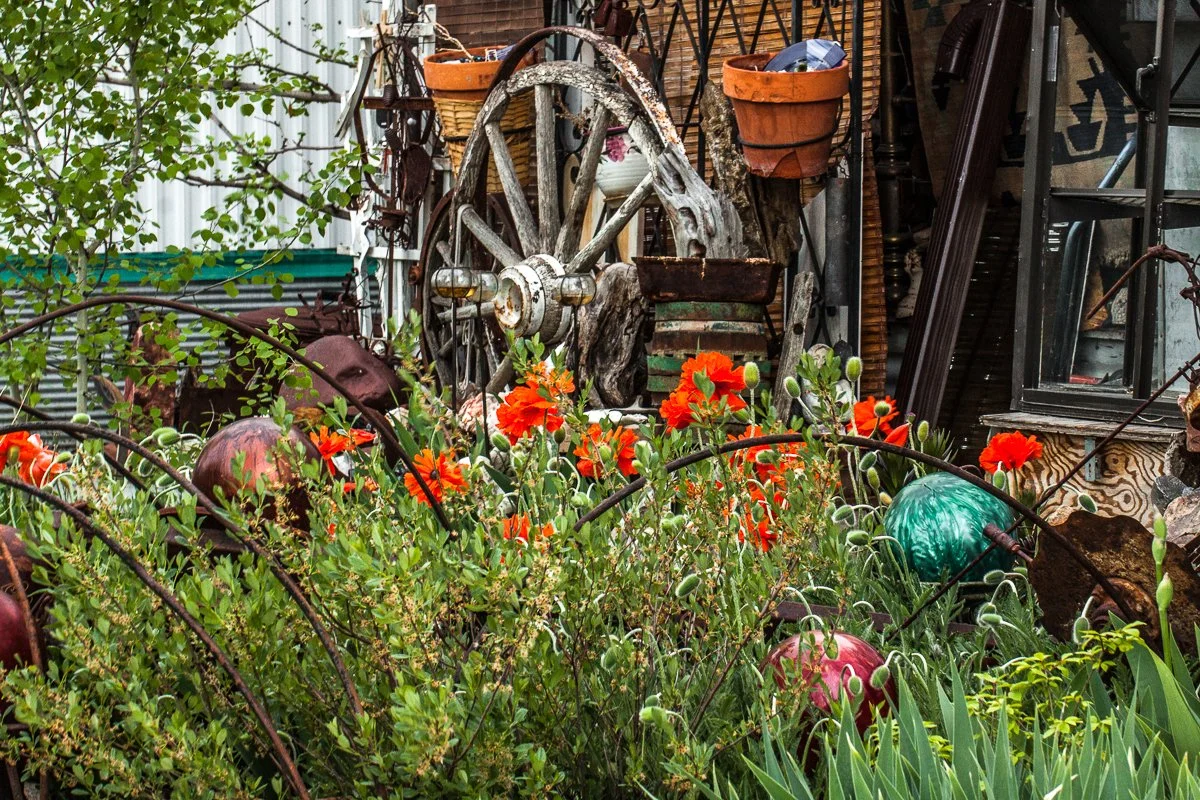 Community Gardens 004.JPG