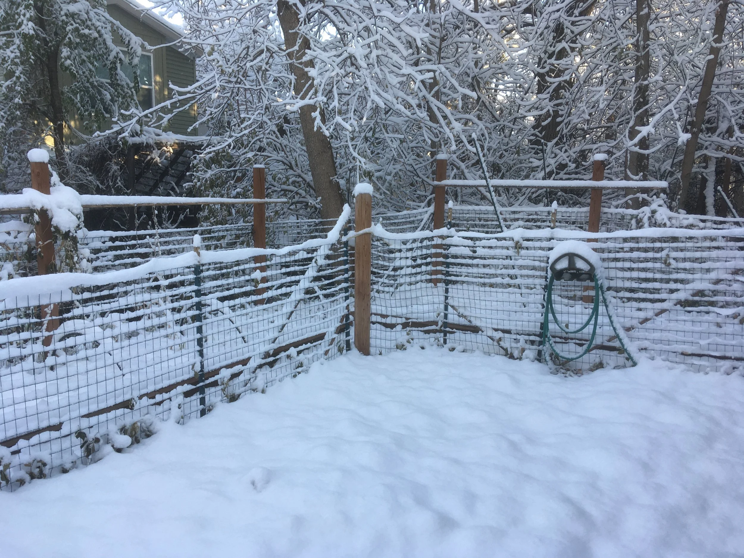 Community Snow Storm 003.JPG