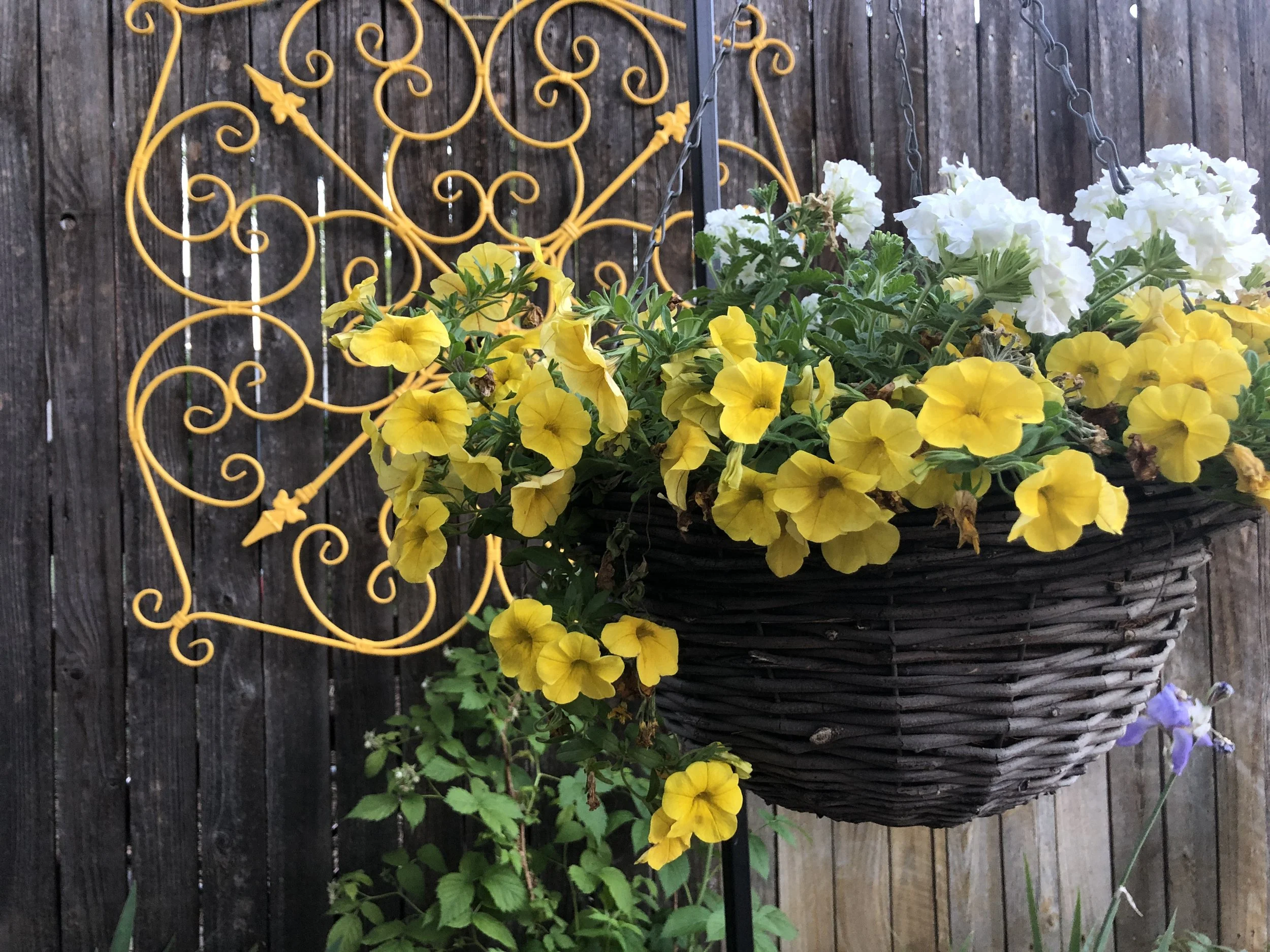 Community Gardens 003.JPG