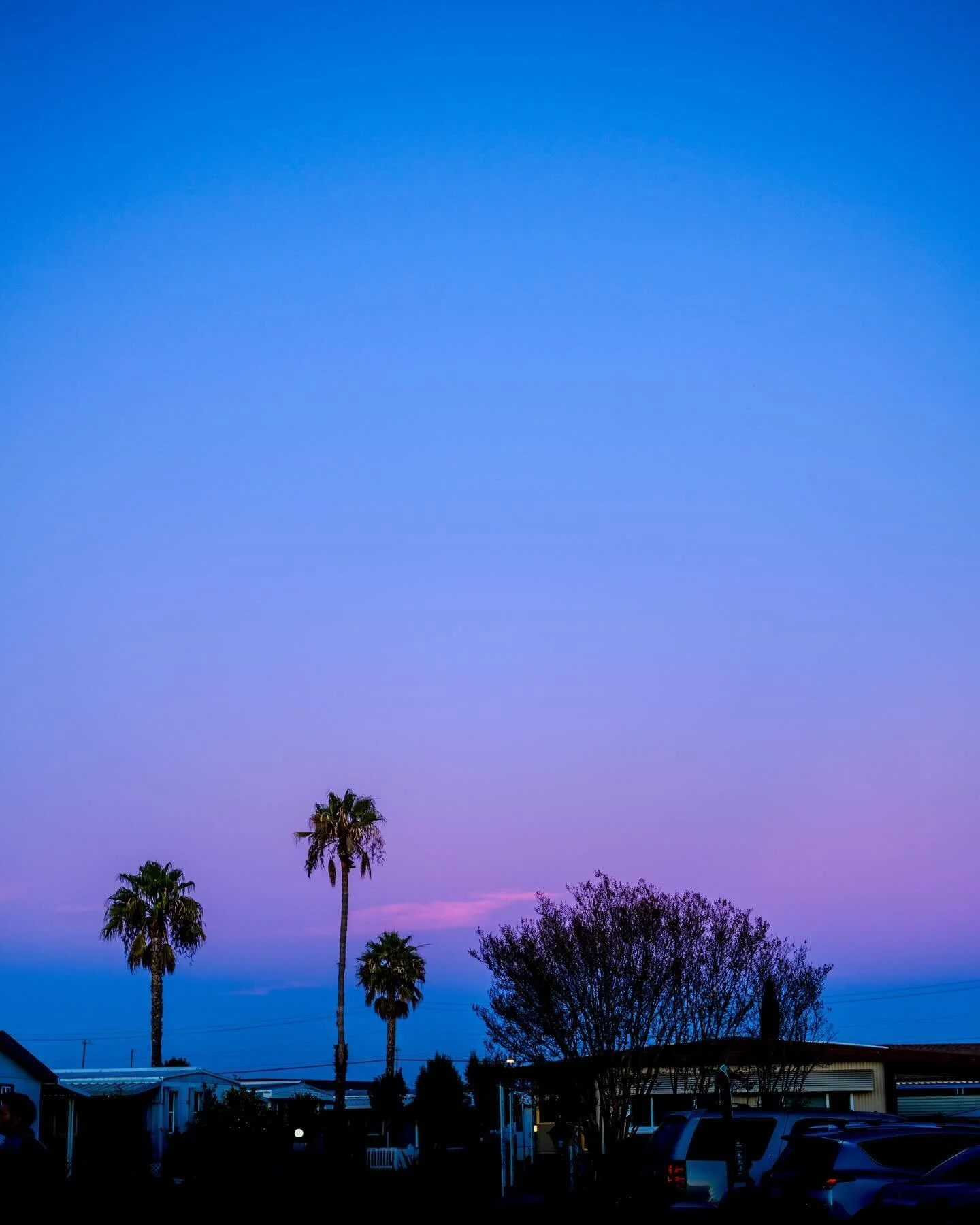 🟣🌅