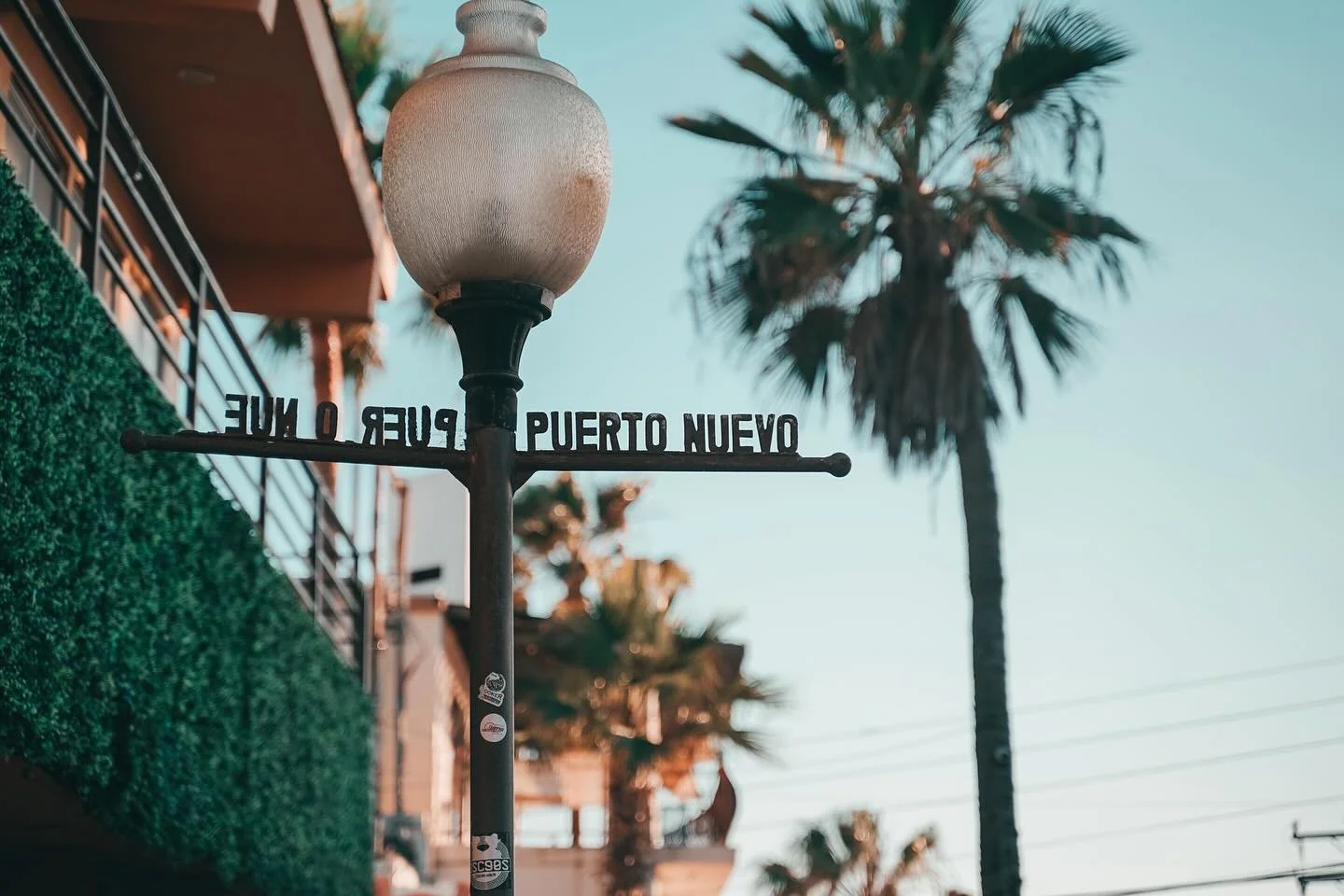 🇲🇽
