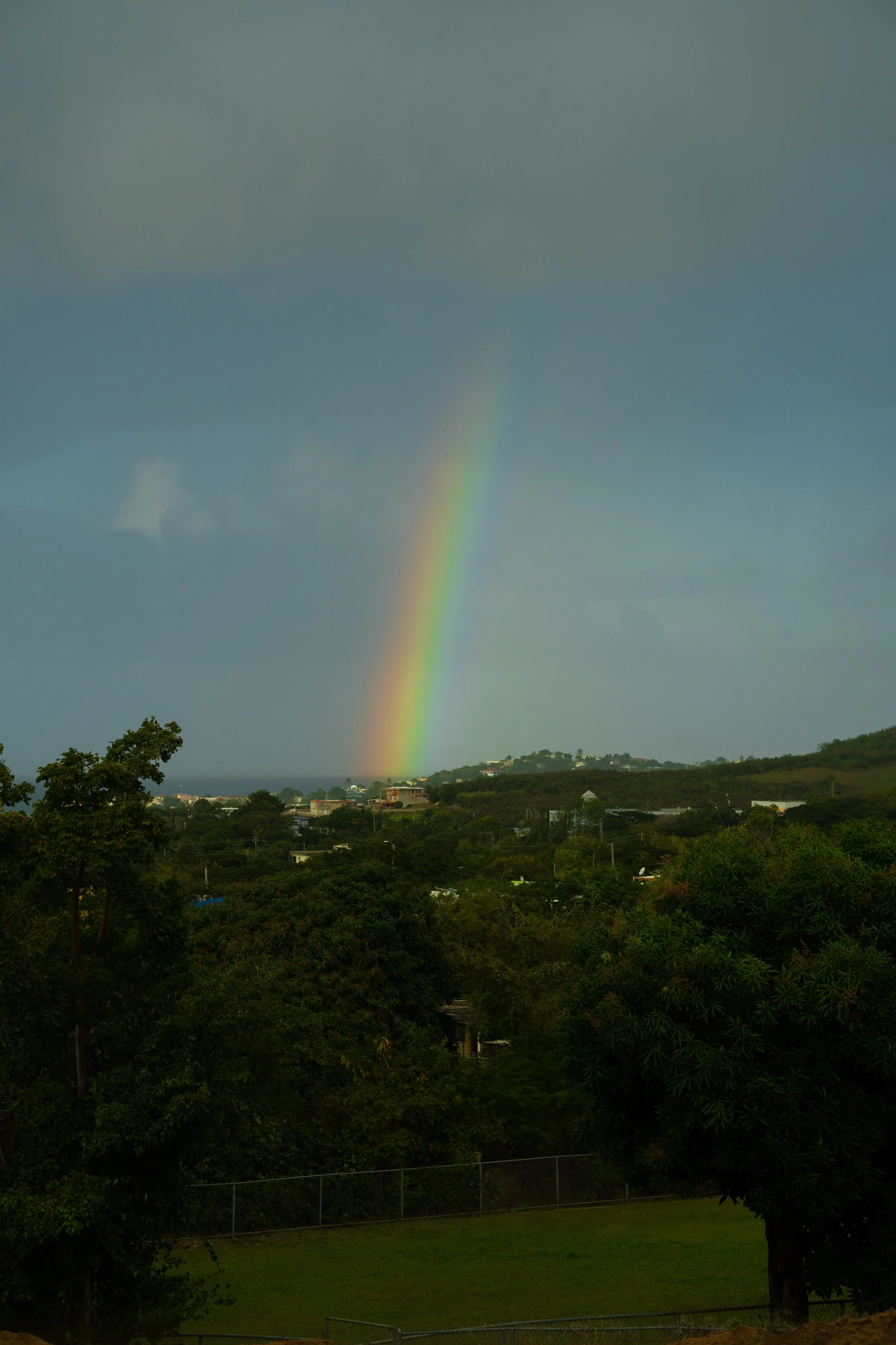 3-FAT07096.jpg