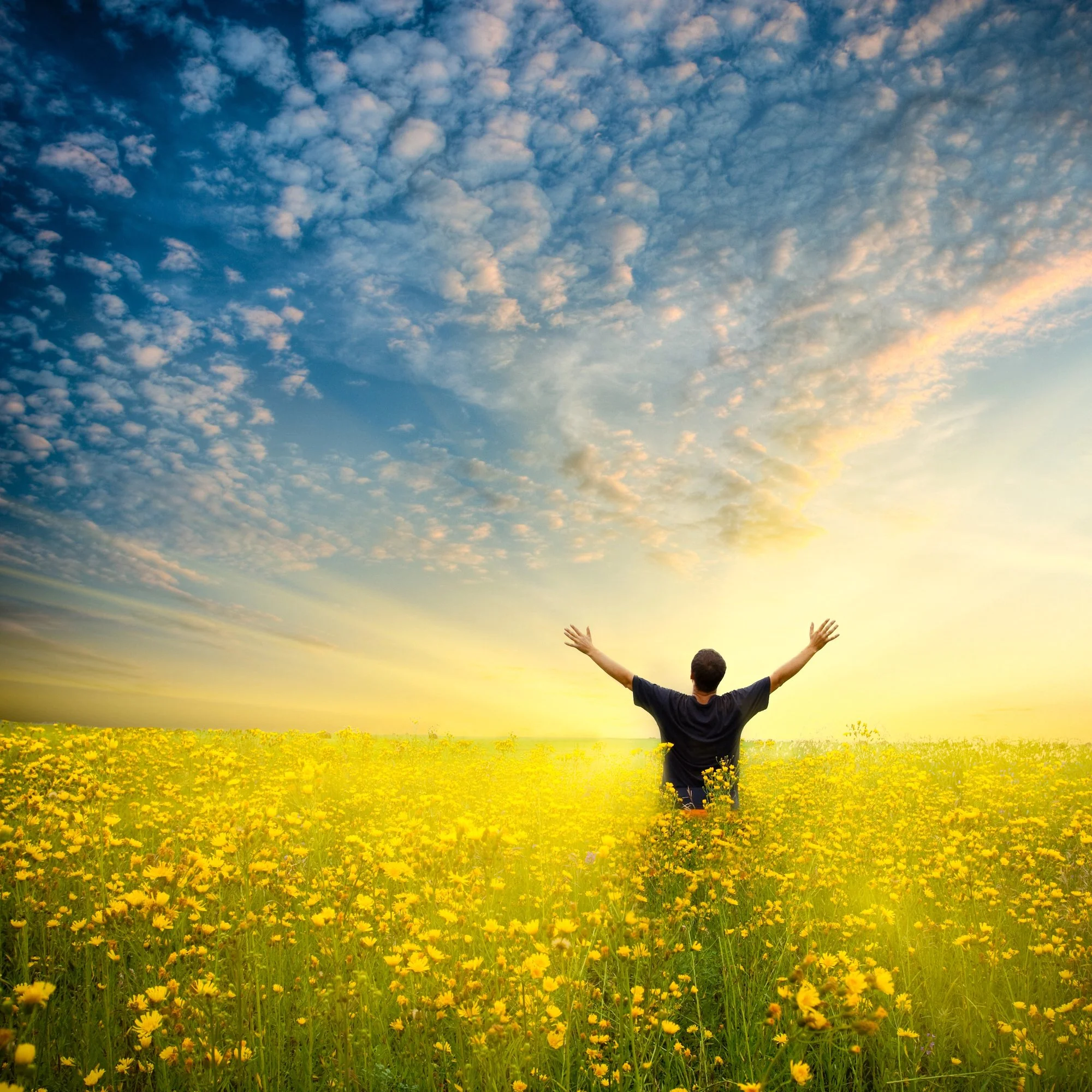 Unleashing Personal Growth 