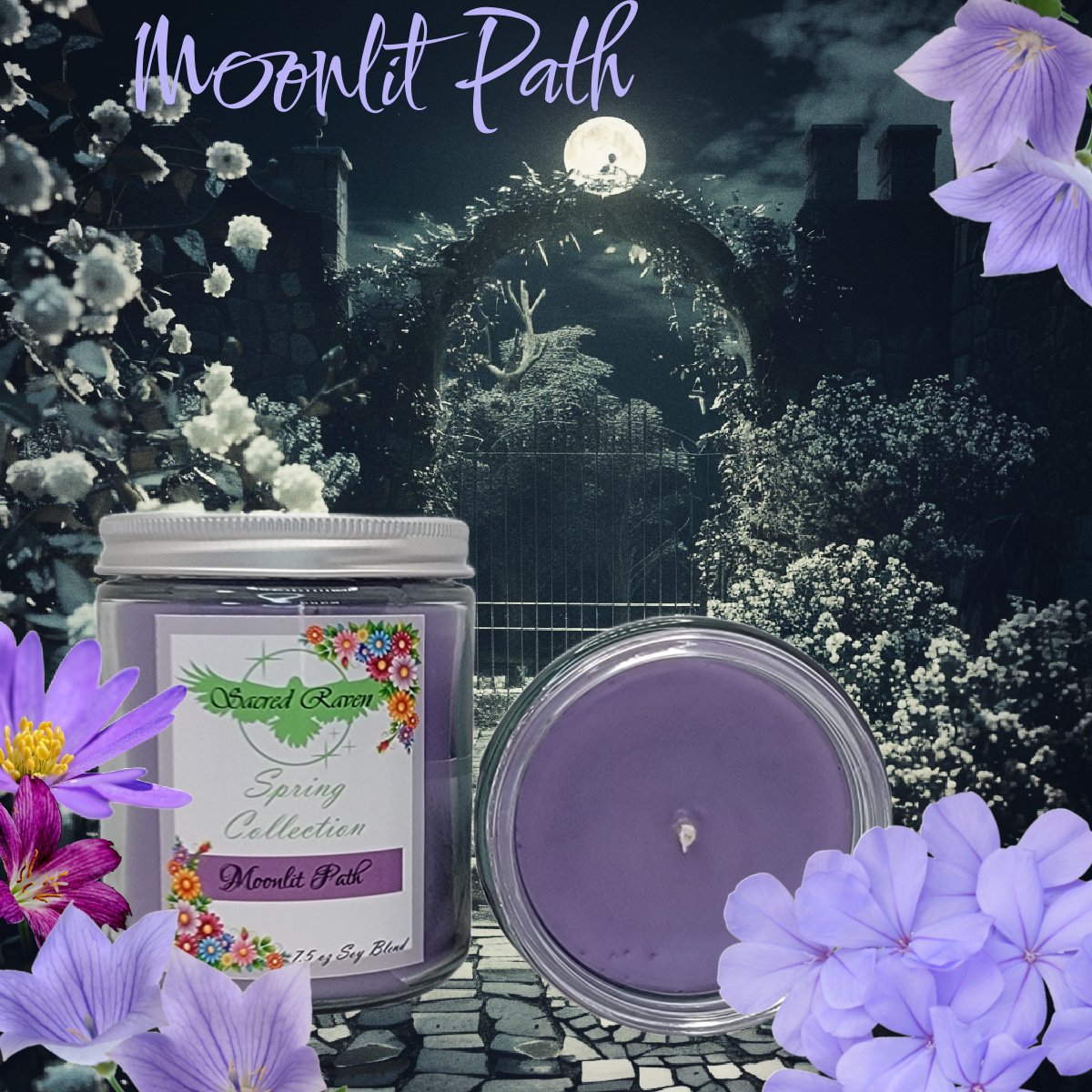 Moonlit Path 4.jpg