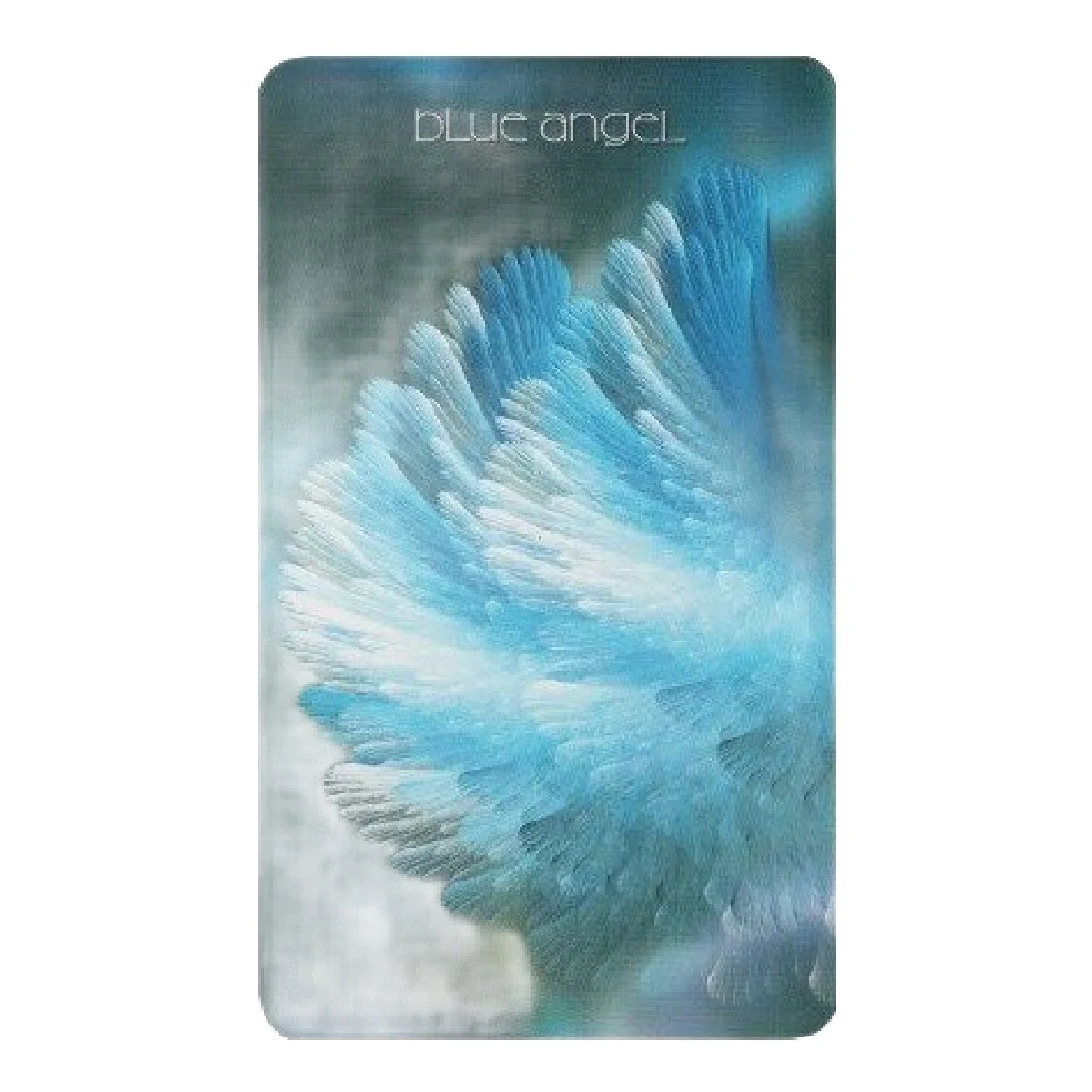 Healing Light & Angel Cards 2 (1).jpg