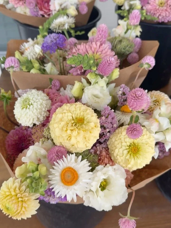 Week 4 of our subscriptions! Holding on to summer with this week&rsquo;s color palette! This week we are featuring- 
Gomphrena (those cute little purple ball shaped flowers) 
Dahlias 
Lisianthus
Snapdragons 
White strawflower 
Dara seed heads (a fun 