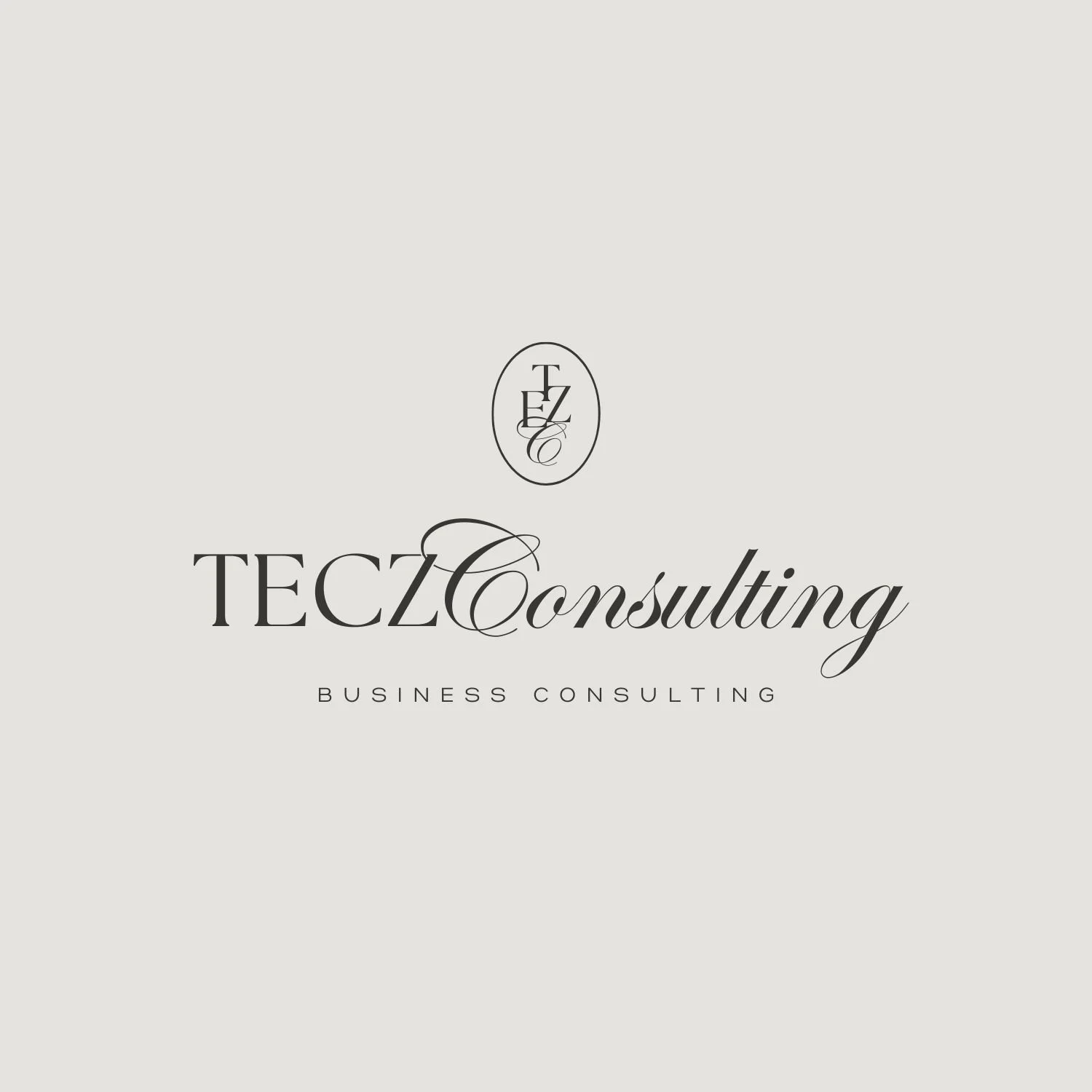 TECZ BUSINESS CONSULTANT
