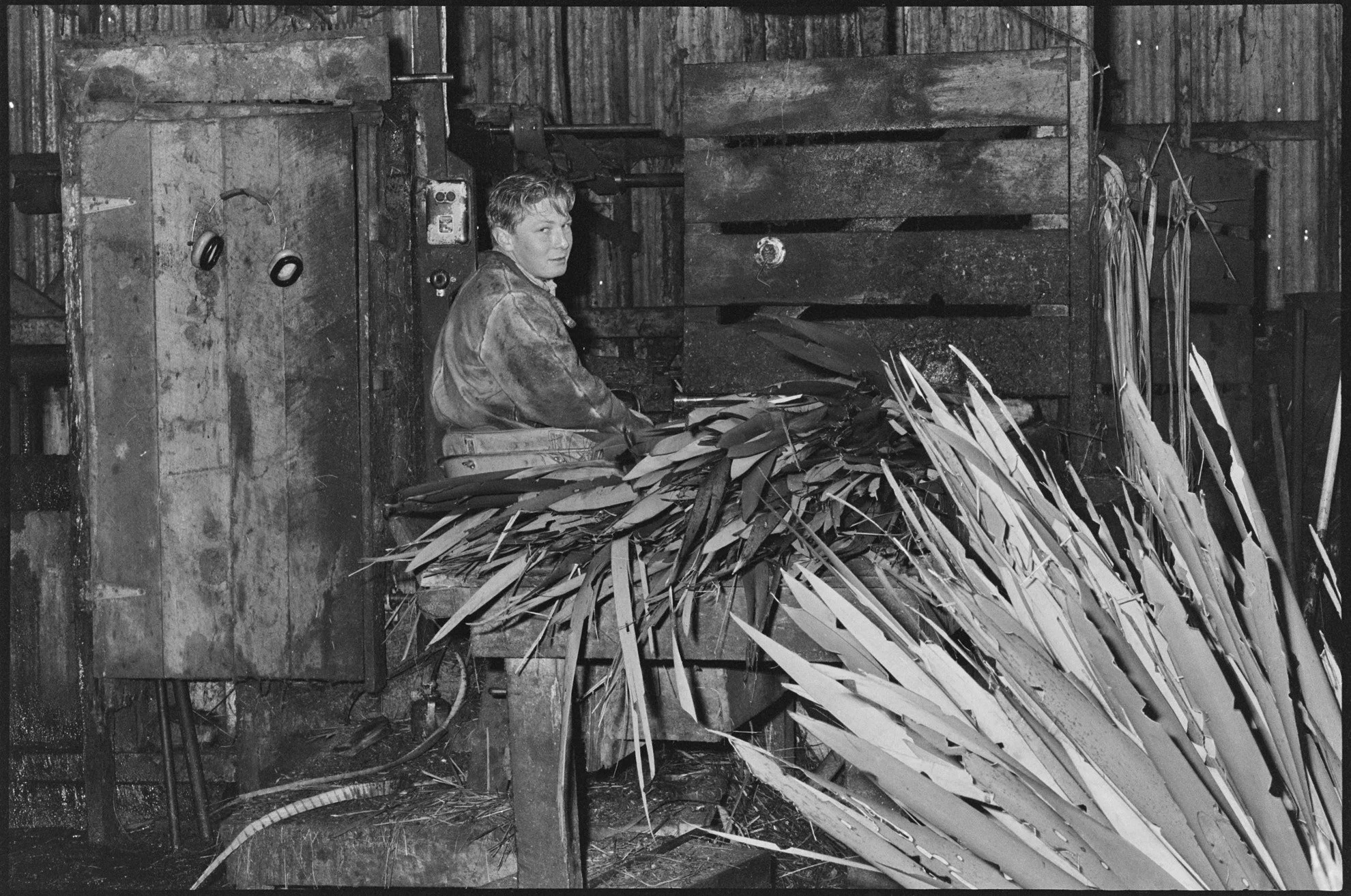 Photo depicts mill worker Johnny Johns feeding the stripper wearing the rubberised denim jacket circa 1967.