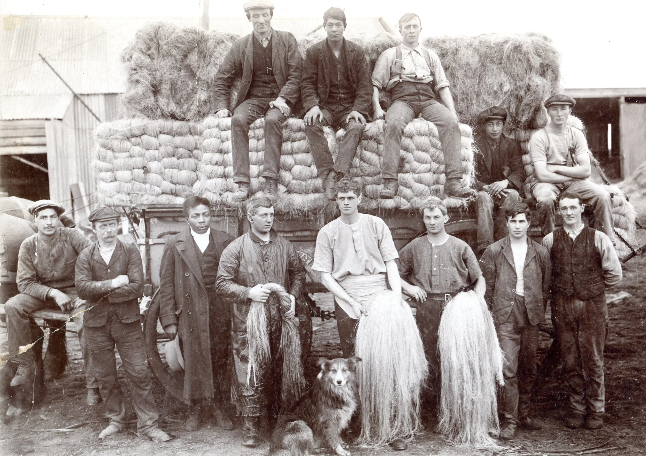 Men of the Templeton Flaxmill; McKesch, Henry John; 1910-1920; RI.P32.93.432

Processed flax hemp ready for sale and use.
Left to Right: Jack Templeton (rear, 2nd from left), William Templeton (extreme right), Alex Oag (front, 4th from left), Muir Te