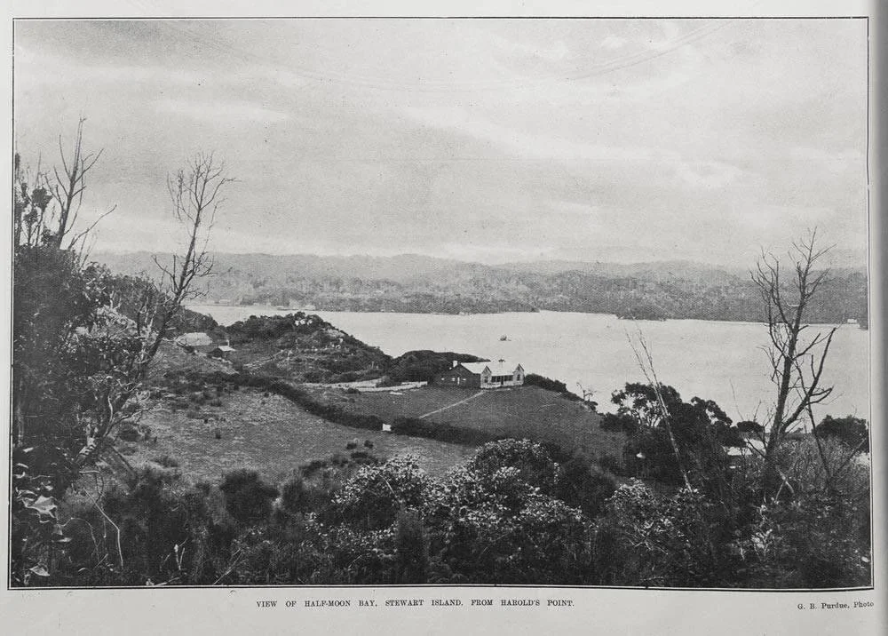 View from Halfmoon Bay, Stewart Island, From Harrold's Point - Courtesy of Rakiura Museum
