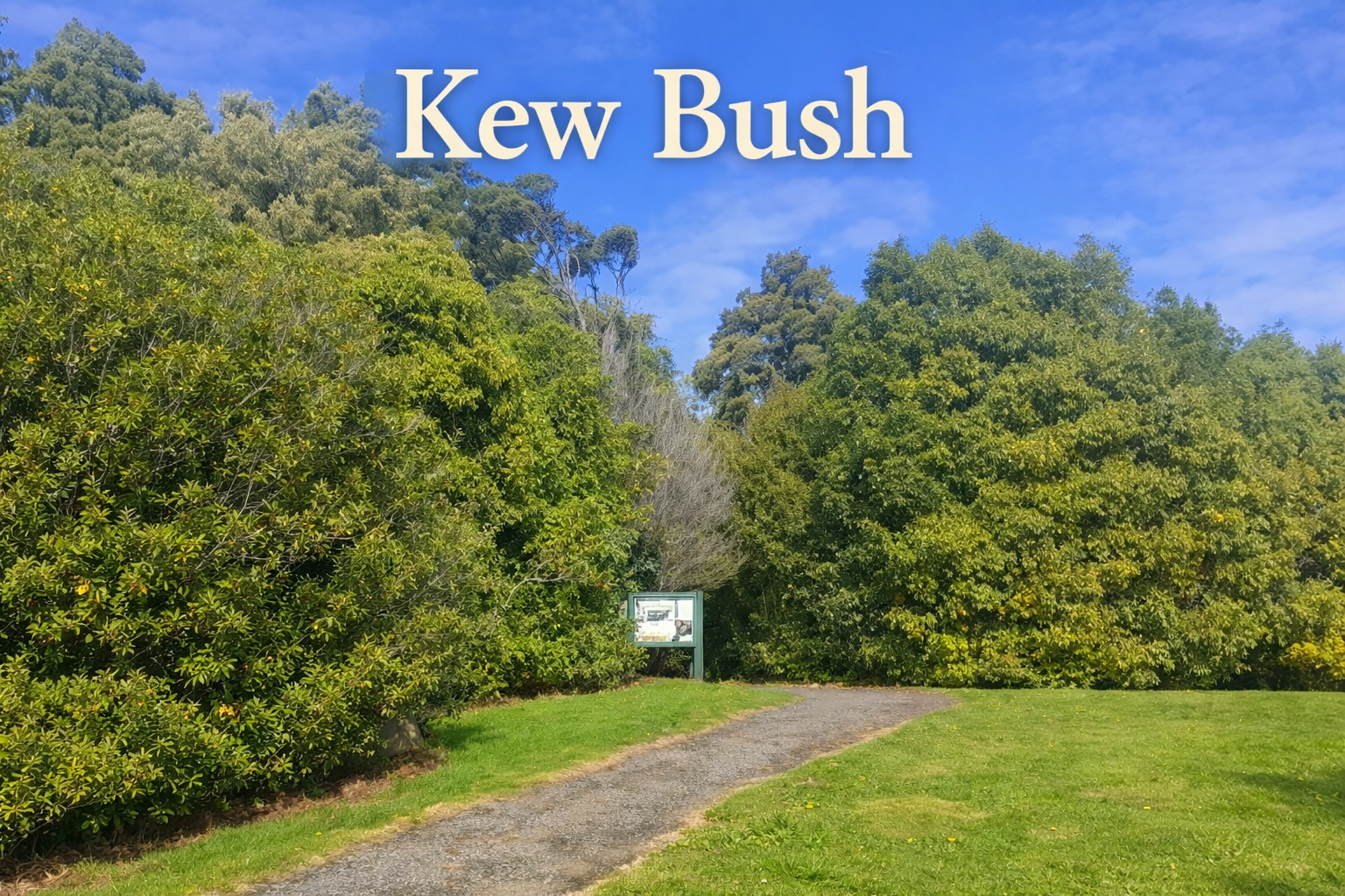 HISTORY OF SOUTHLAND LAND WITH JESSE - This week's episode: Kew Bush! Senga continues the conversation with Jesse Bythell from the QEII National Trust about Southland's natural heritage.