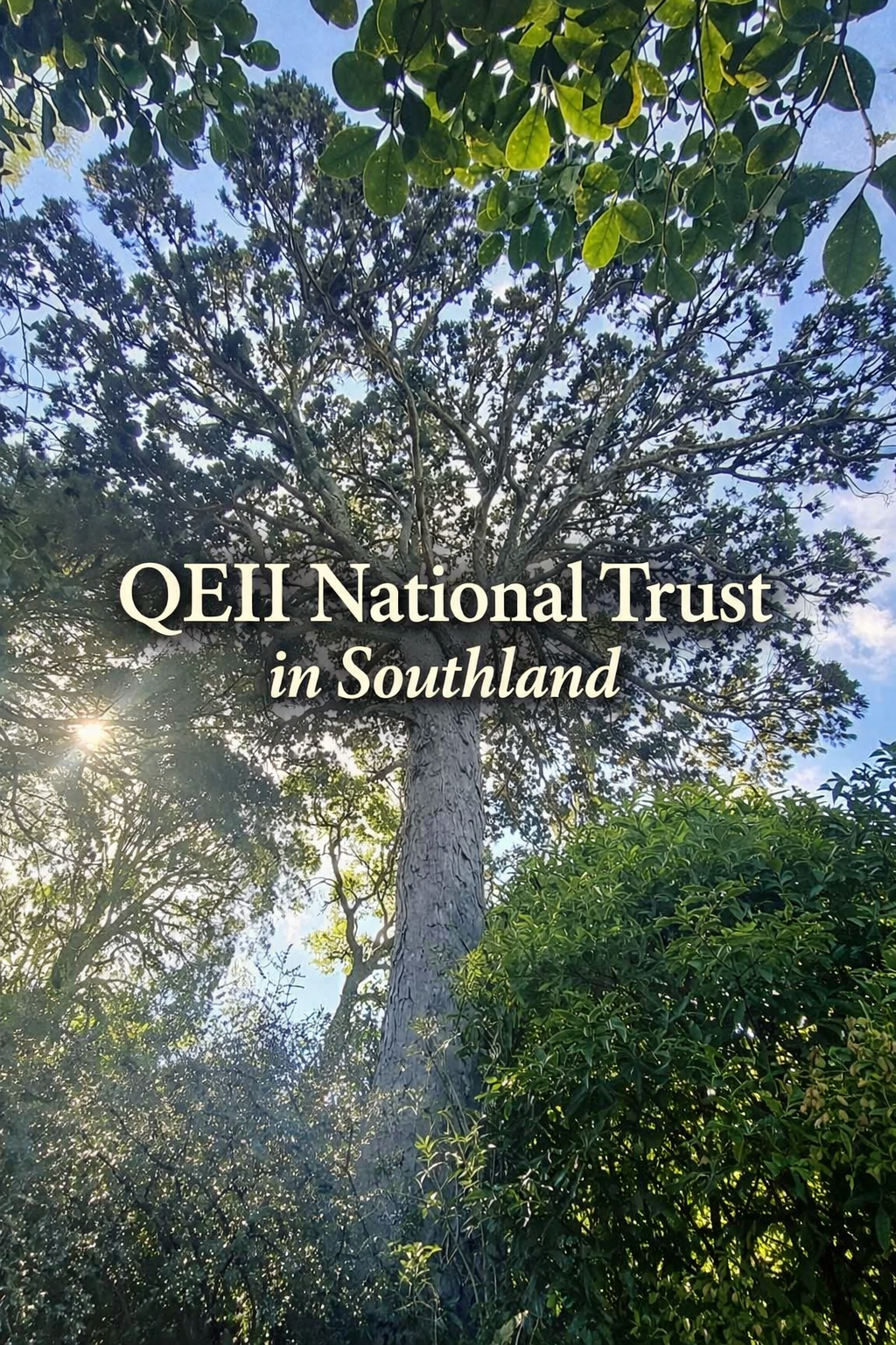 QEII TRUST IN SOUTHLAND - Jesse Blythell, the Southland Representative for the QEII Trust joins Senga in this episode.