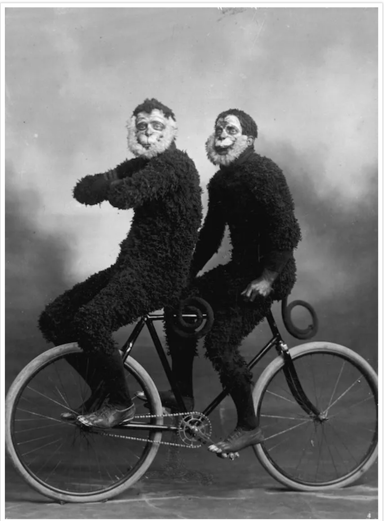 Members of the Invercargill Cycling Club riding a bicycle in monkey costume. Greig, J :Photographs of two men in a monkey suit on a bicycle and of a parade dragon. Ref: 1/2-062601-F. Alexander Turnbull Library, Wellington, New Zealand. /records/22769
