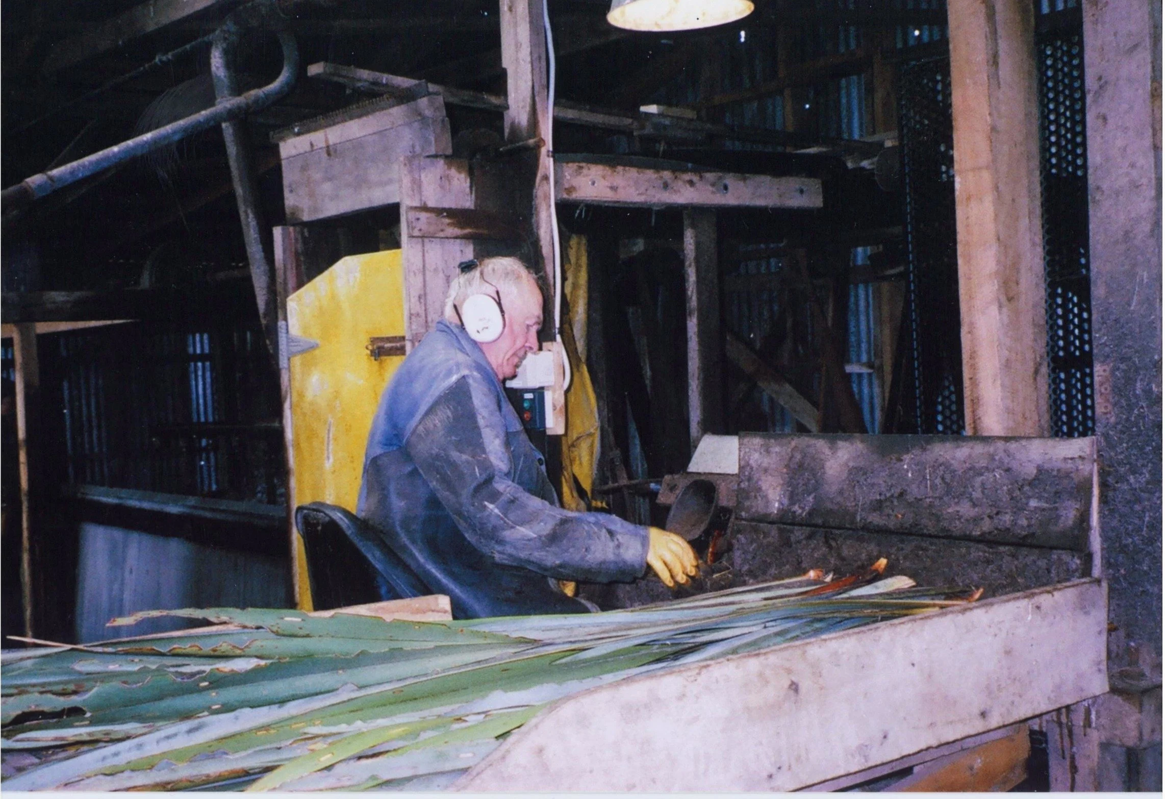 Des Templeton wearing the rubberised jacket feeding the flax mill stripper, circa 2004.