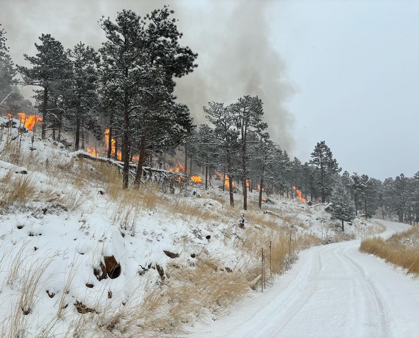 Another day, another burn update! The Crew is back to Sunshine Canyon to burn 20 piles on Eagles Drive. Smoke and flames may be visible in the area, but the piles are contained and will be staffed through this afternoon. A 24 hour check will be condu