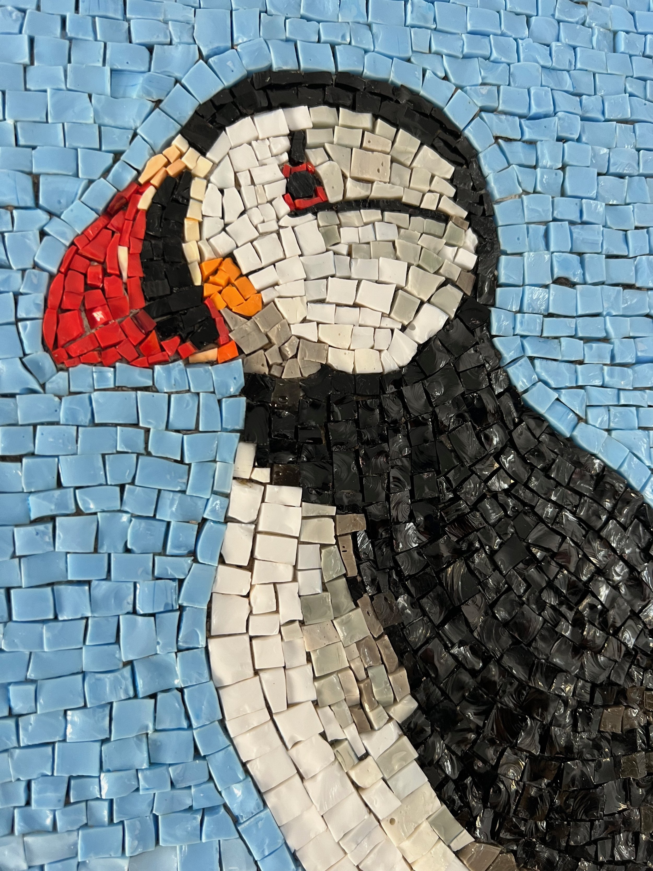Atlantic Puffin 3 KMacDonald.jpeg