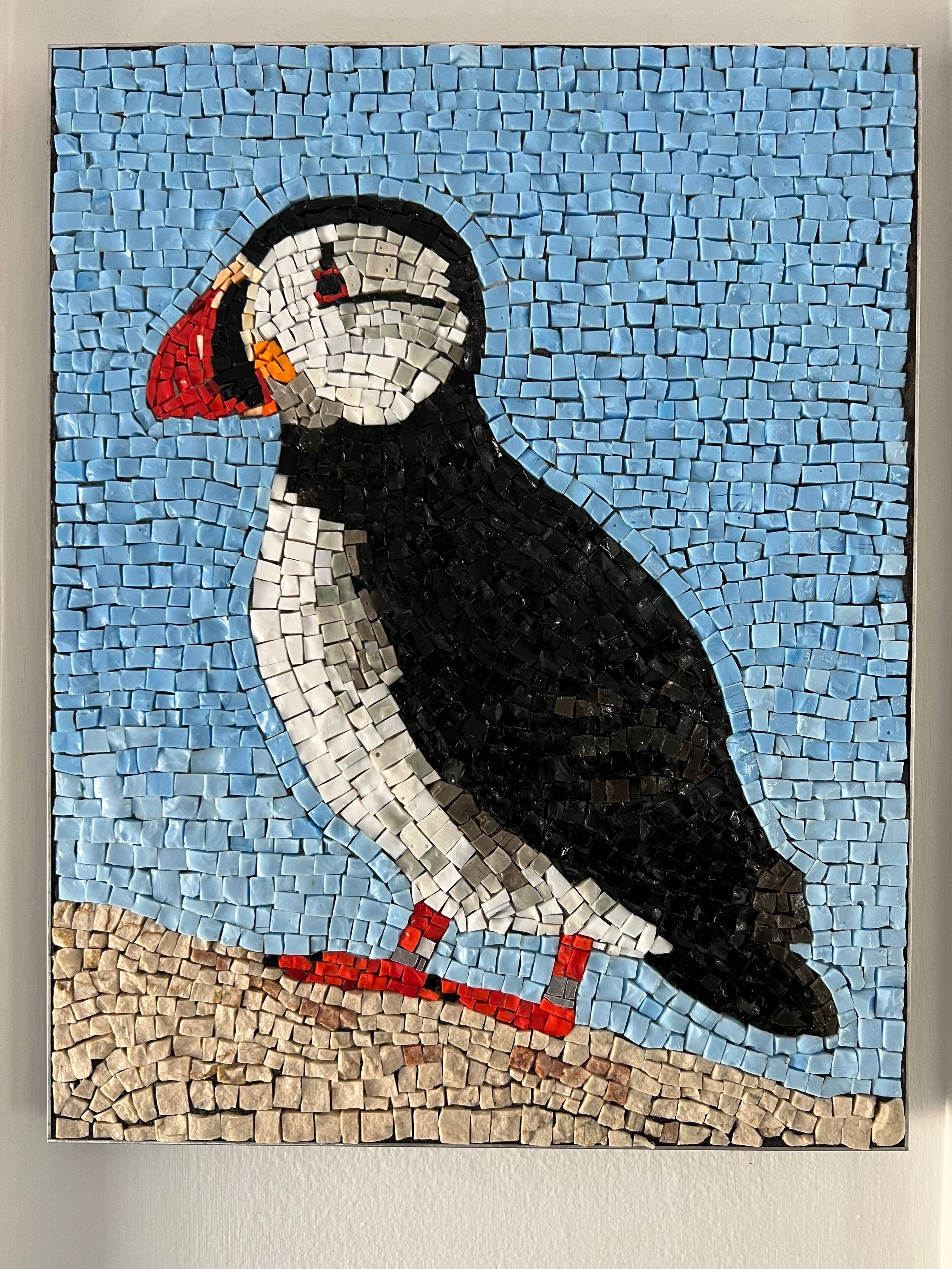 Atlantic Puffin 1 KMacDonald.jpeg