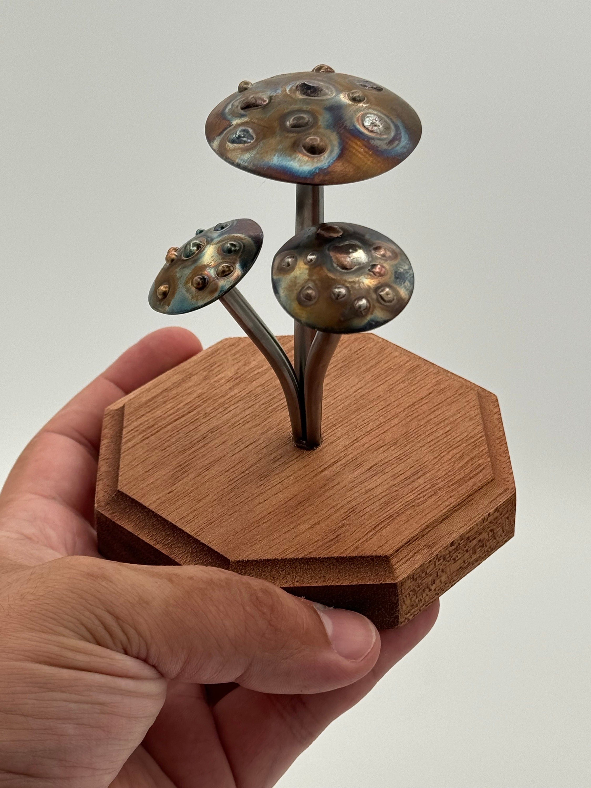 https://i.etsystatic.com/46298351/r/il/fb457a/6069449410/il_fullxfull.6069449410_qwse.jpg