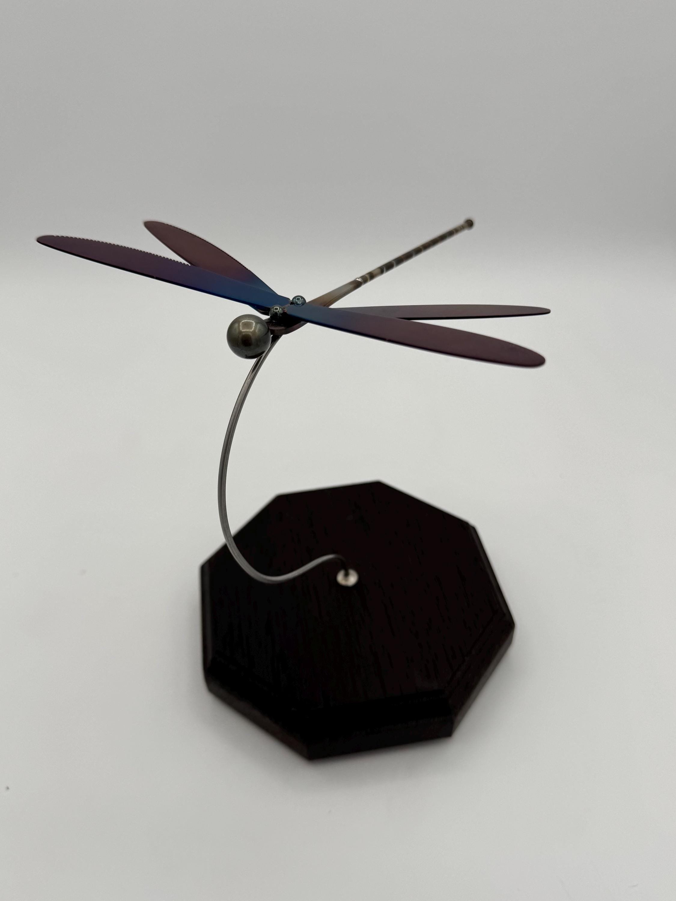 https://i.etsystatic.com/46298351/r/il/d7aa3b/6538505821/il_fullxfull.6538505821_q7d3.jpg