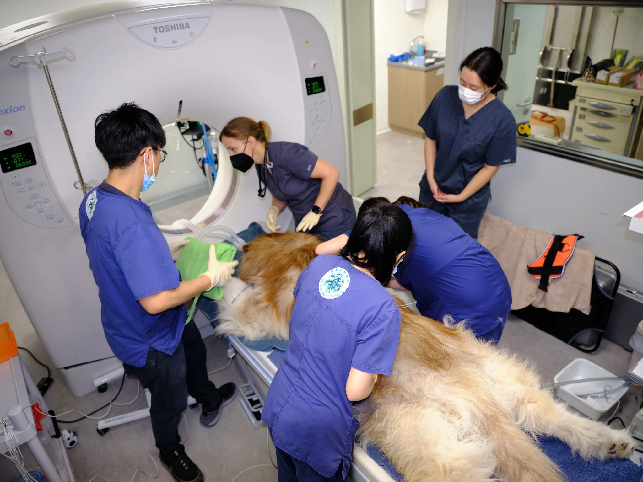 Veterinary Specialty and Imaging