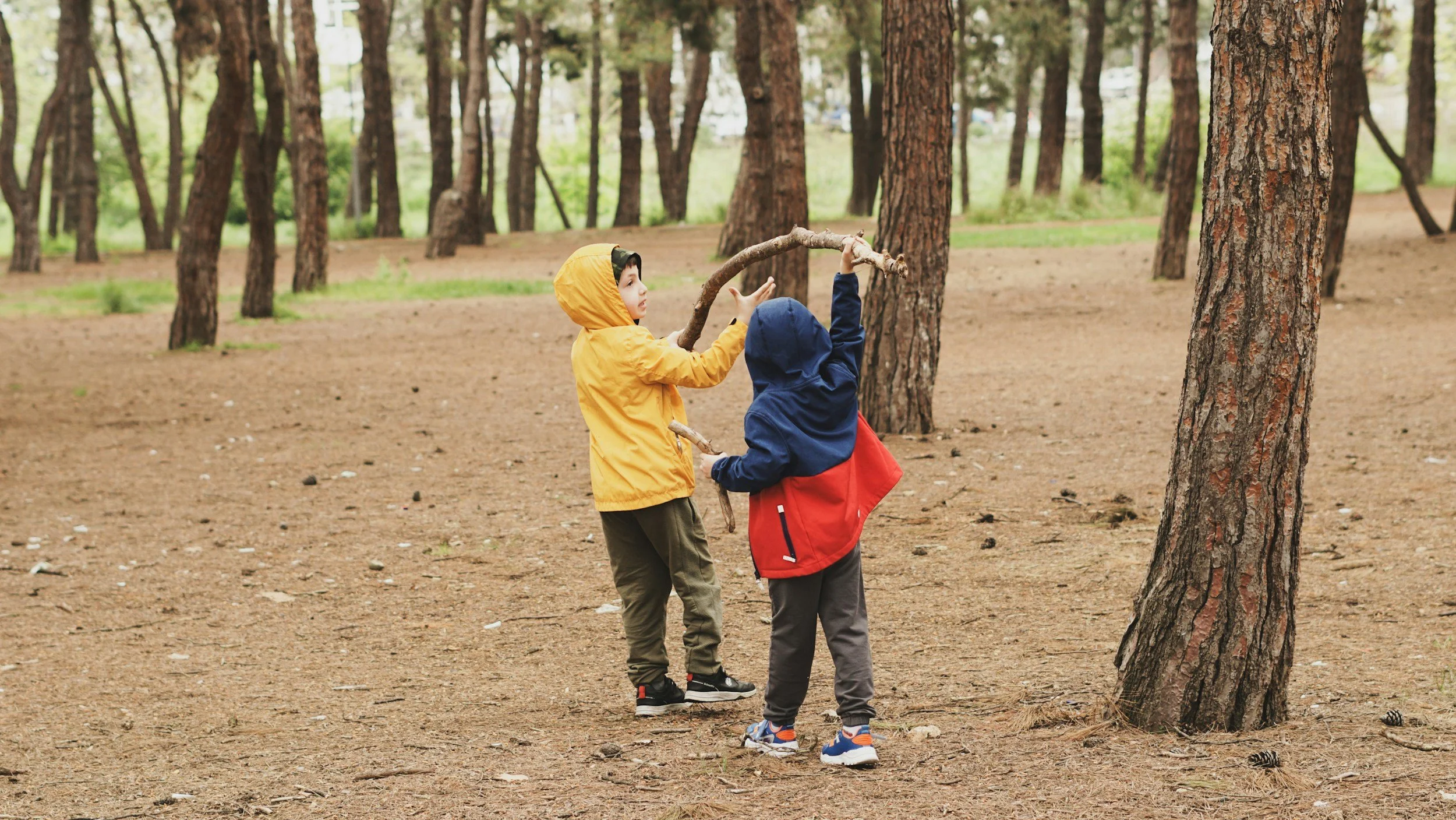 children playing in forest