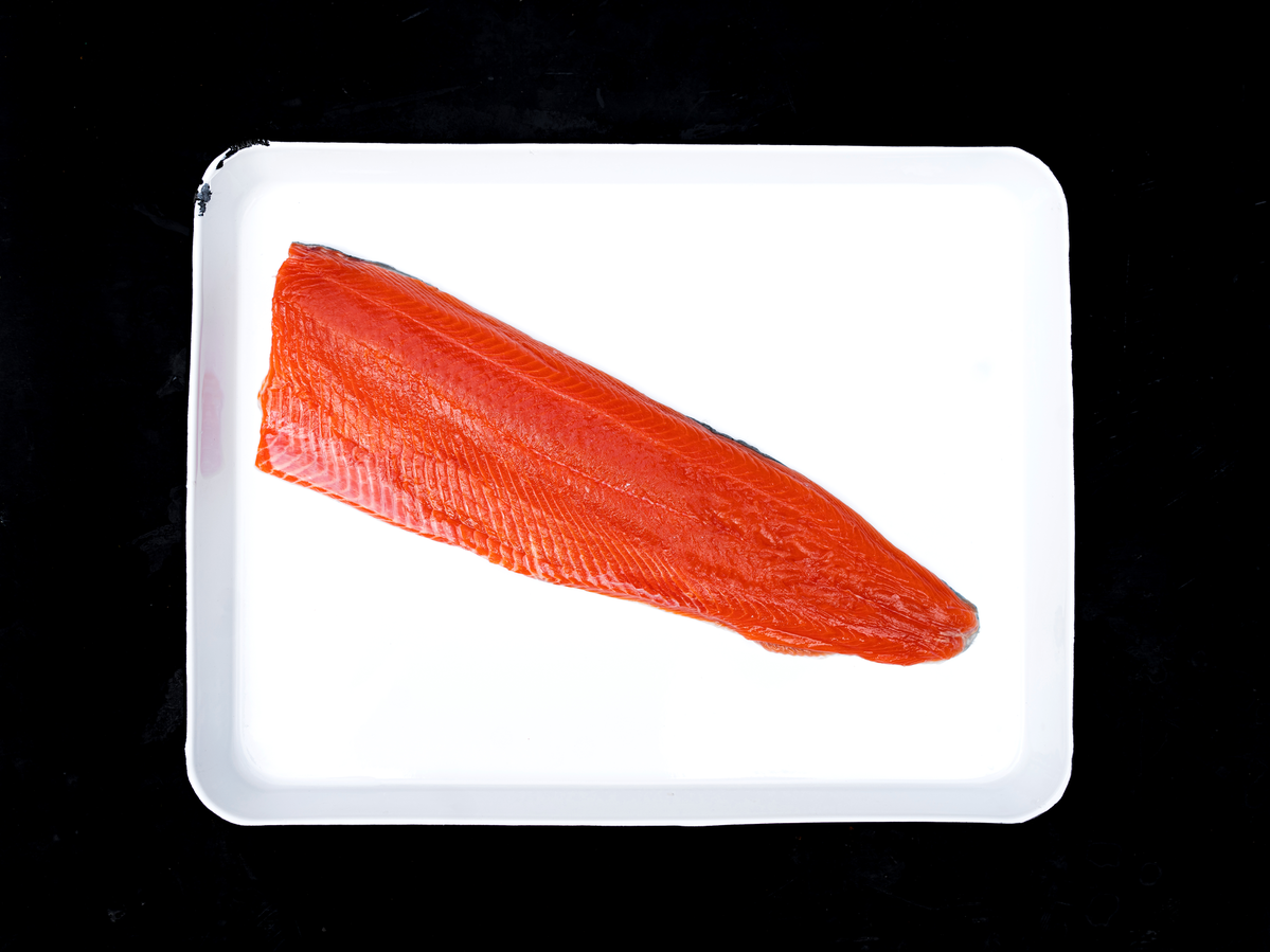 ASMI_Size 3 Fillet_3-Web - Clear Background.png