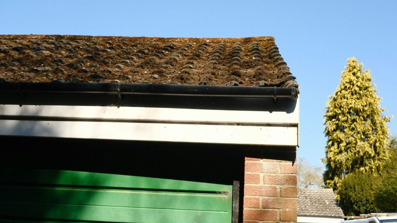 Roof and gutter with debris buildup on residential home.