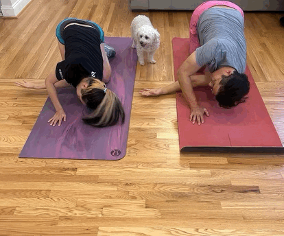 Partner Training 5 Session Package