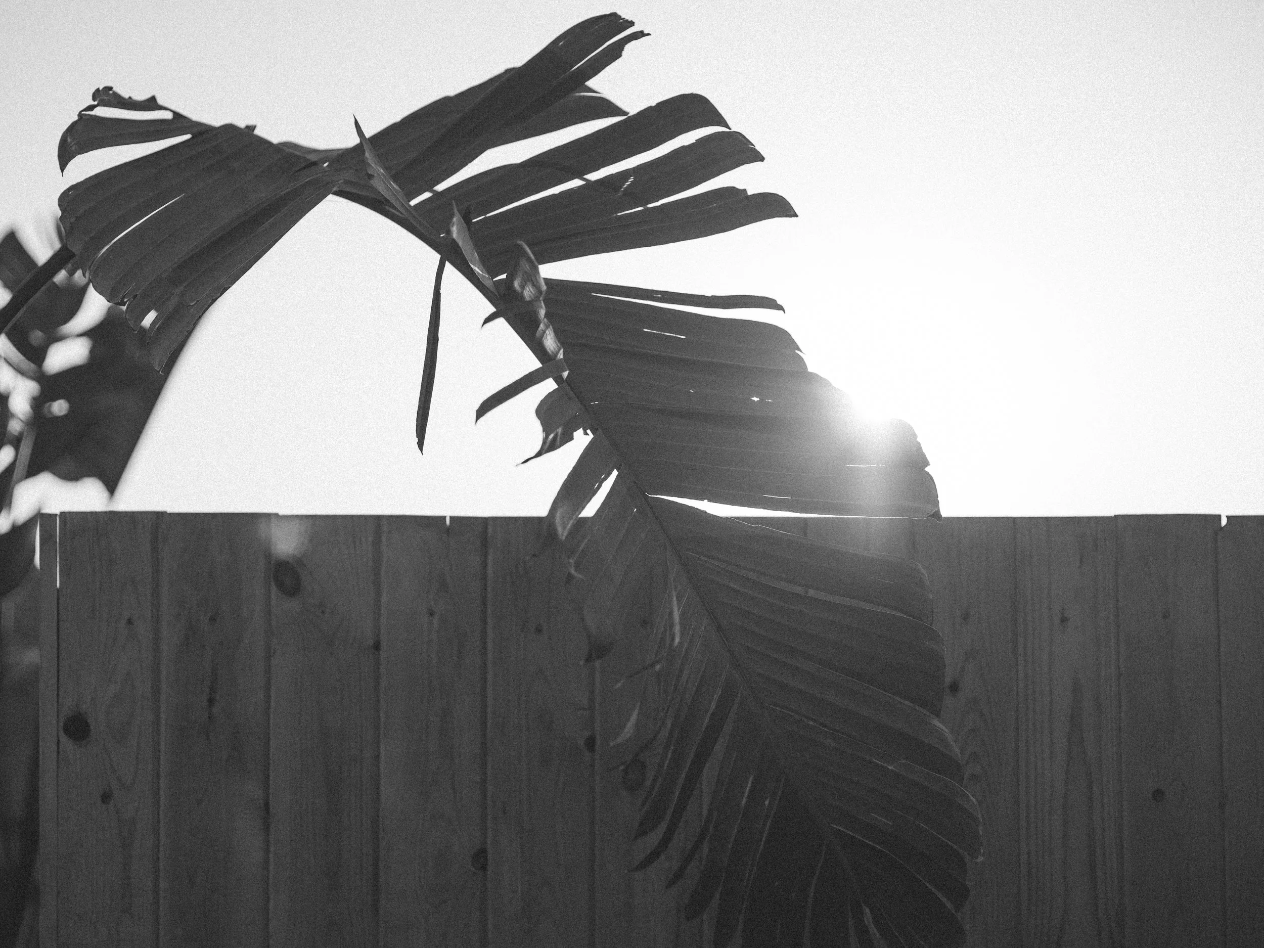 Emotional Depth vs Emotional Capacity: Why So Many Meaningful Connections Still Don’t Work