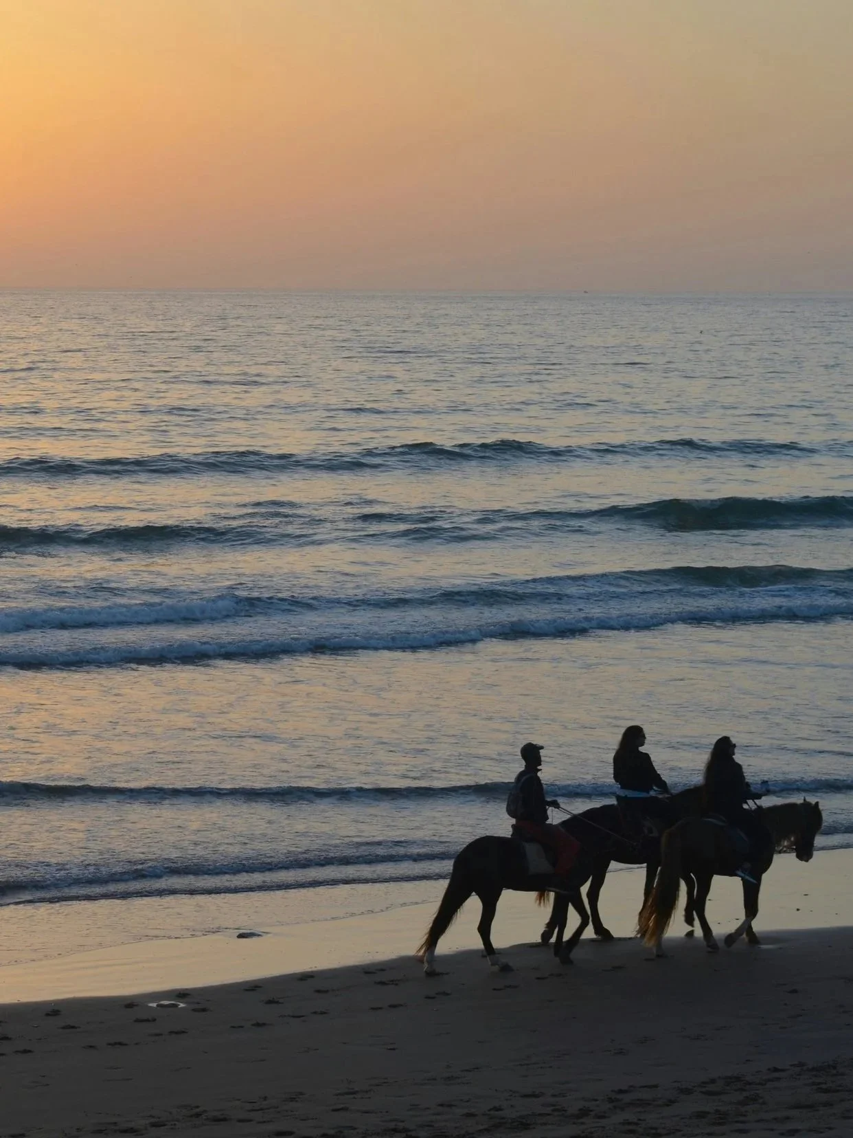 People riding horses along the beach during sunset.