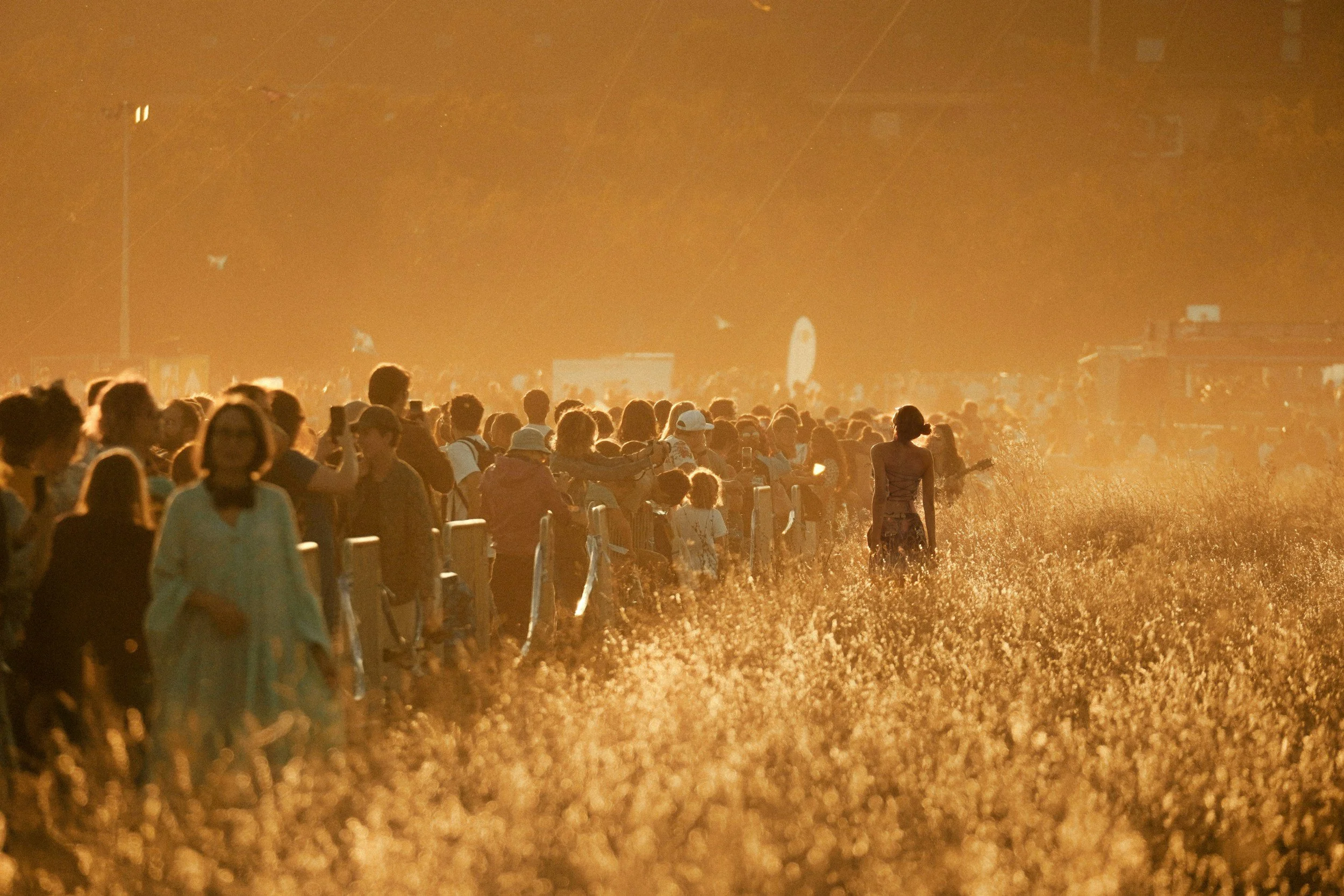 The Book of Exodus: toward freedom