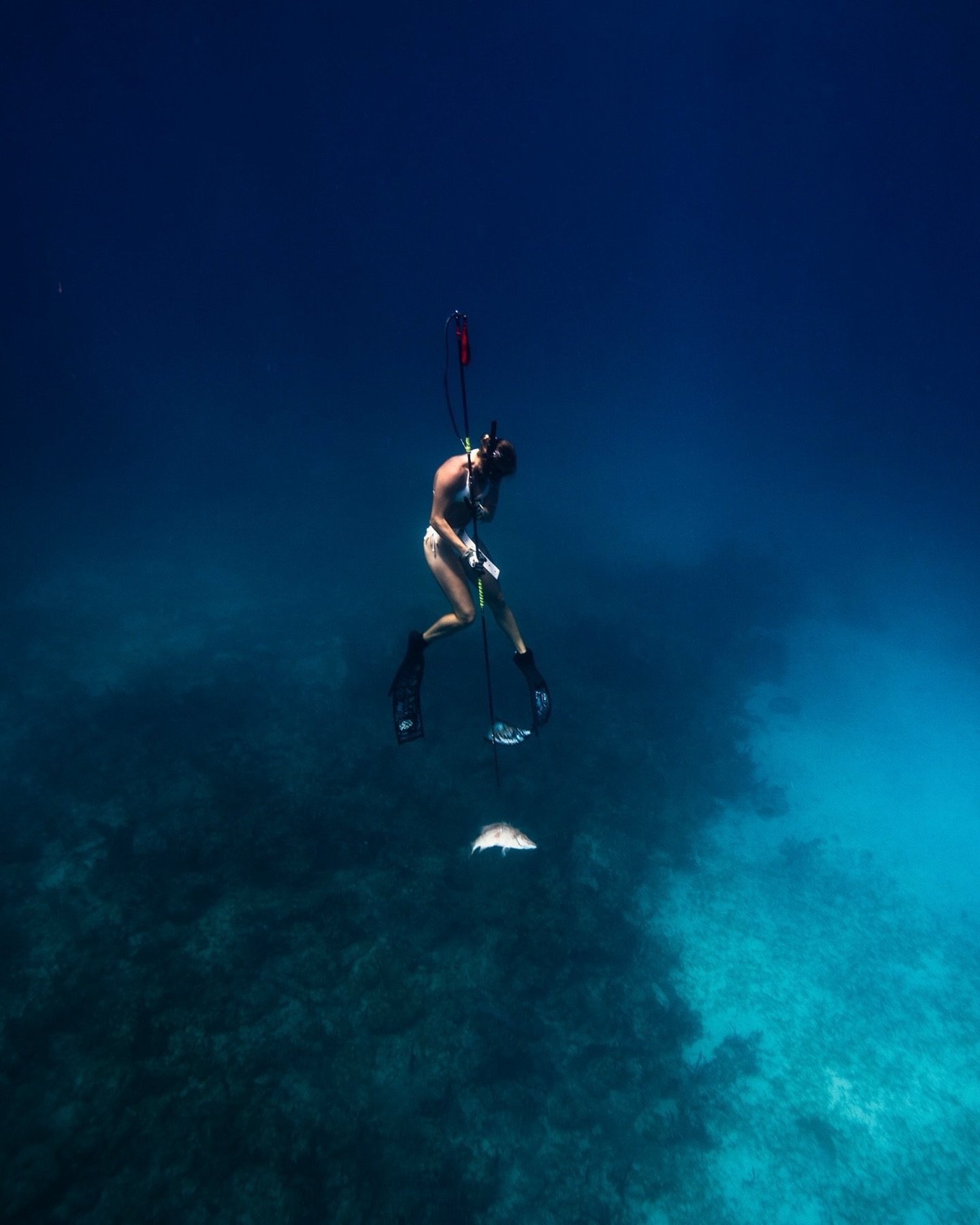 After two days of consistently losing fish to sharks, jumping in the water to shoot some diving wasn&rsquo;t the most comforting idea. While I feel pretty at home in the water, most of my time in the ocean is spent above surface, blissfully unaware o