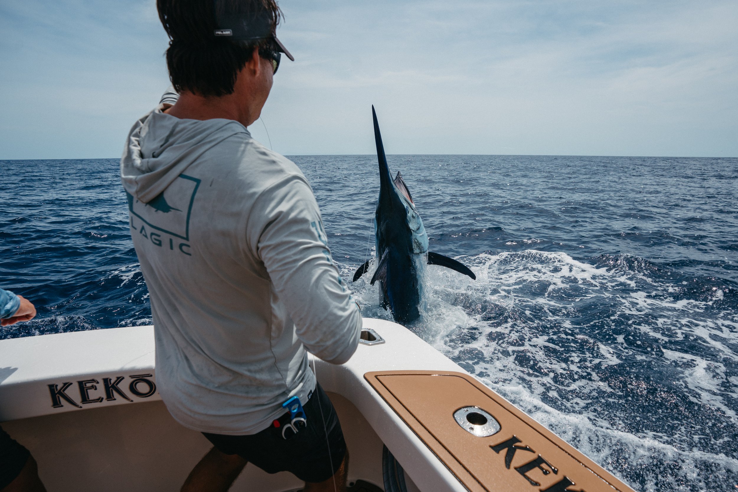 Pelagic Gear | Great Barrier Reef