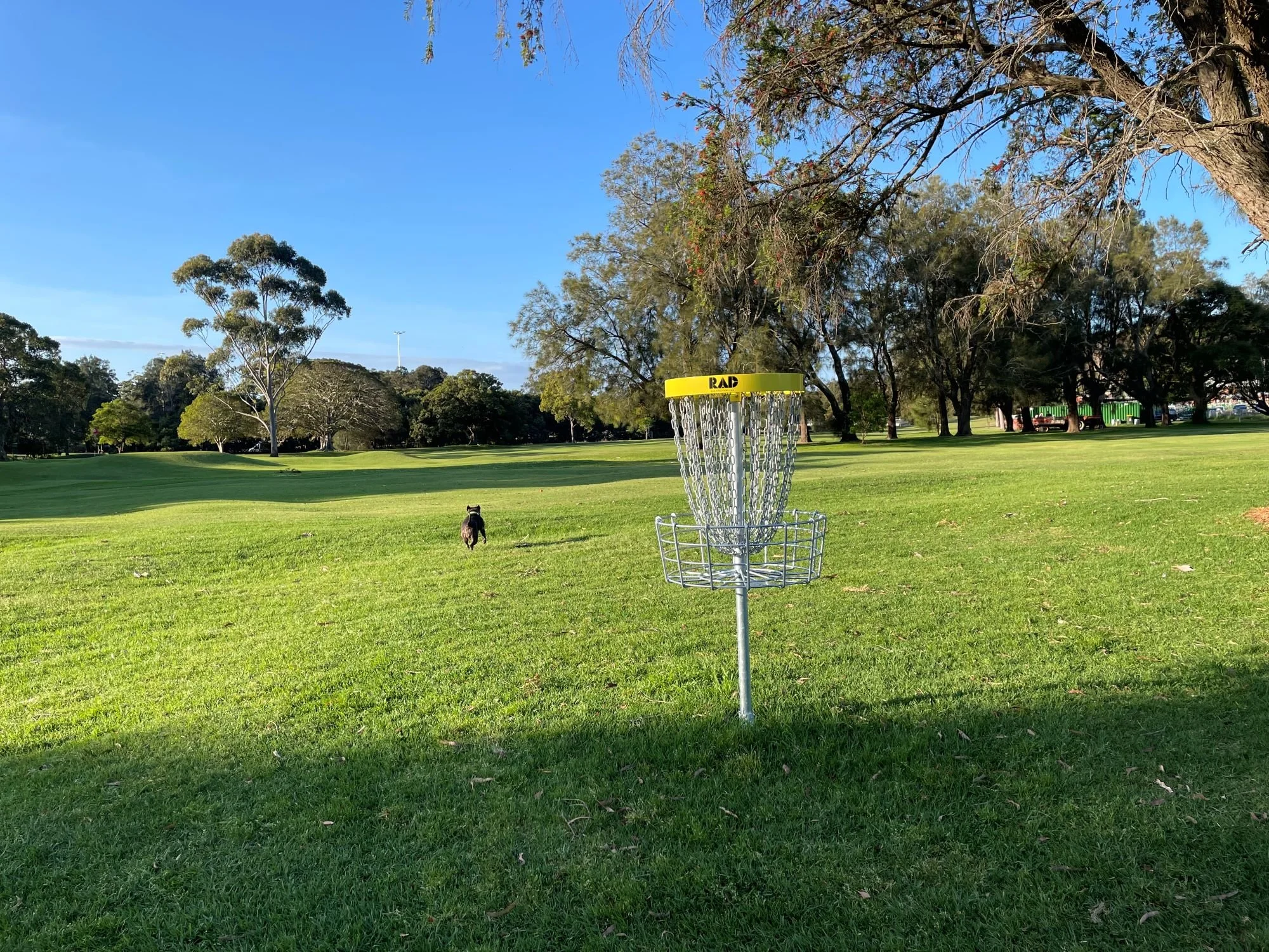 Disc Golf — Marrickville Golf, Sporting & Community Club