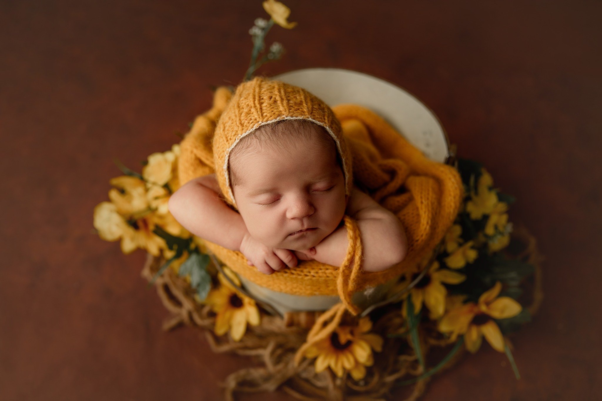 Curled up in a bucket of sunshine 🌻💛

This little beauty snoozed her way through the sweetest studio session, surrounded by soft petals and golden tones. Sunflowers symbolise warmth, happiness, and new beginnings&mdash;and honestly, could there be 
