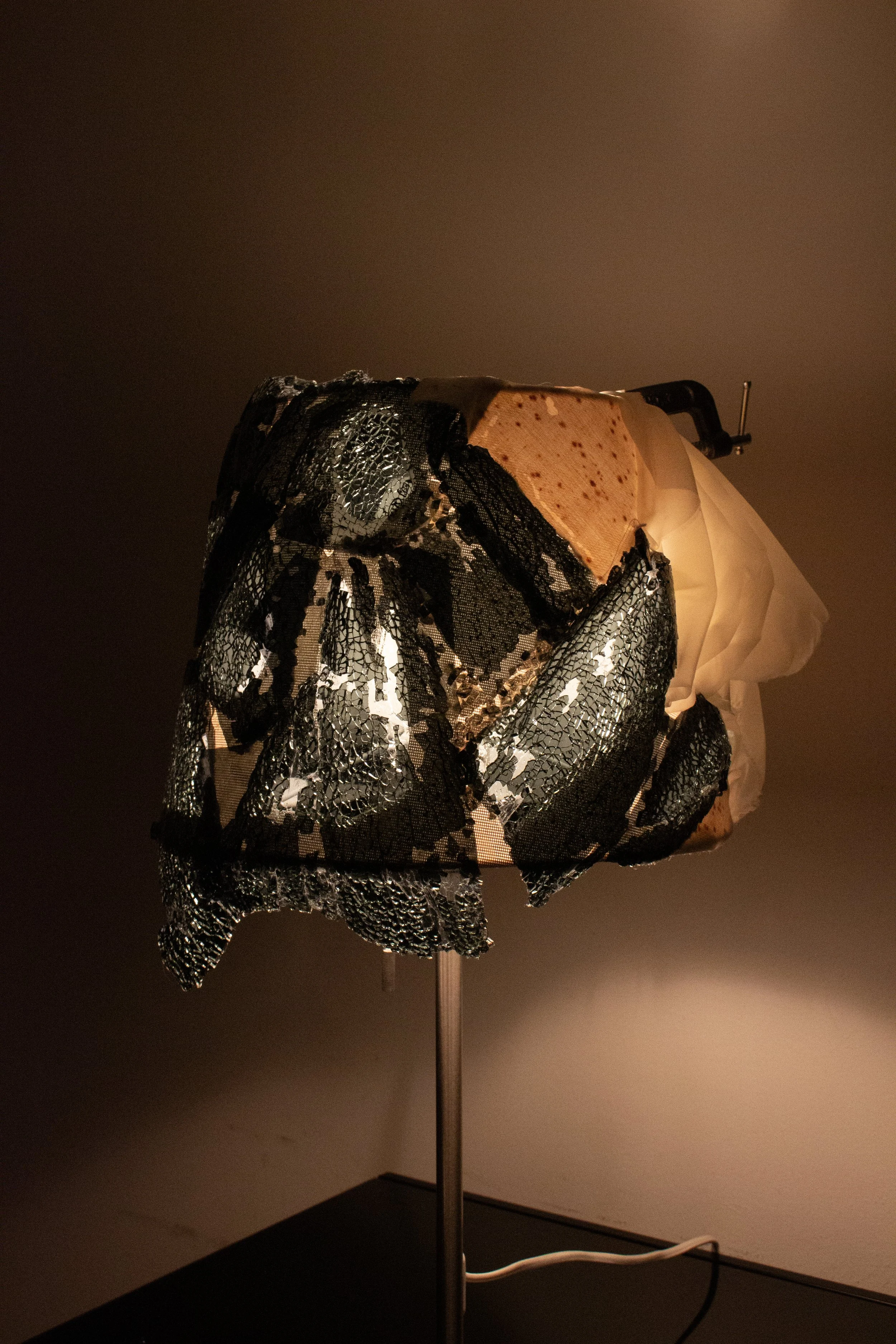 Unwanted Lamps (2026- )