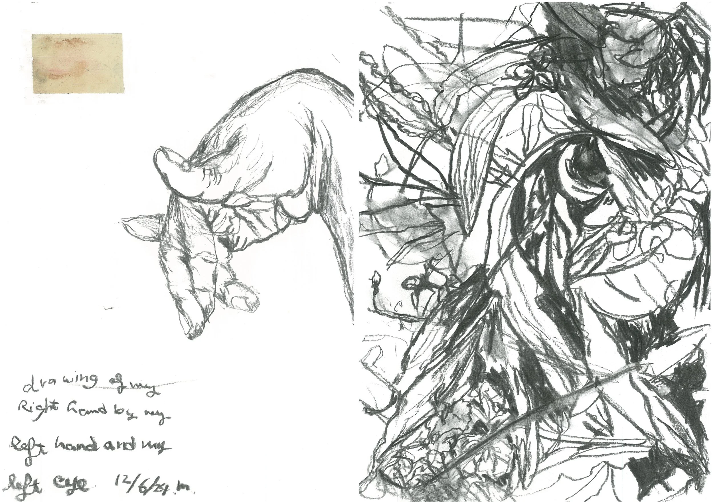 Jungle Diptychs (2024-2025)