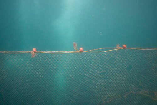 Ghostnets191102-04525.jpeg